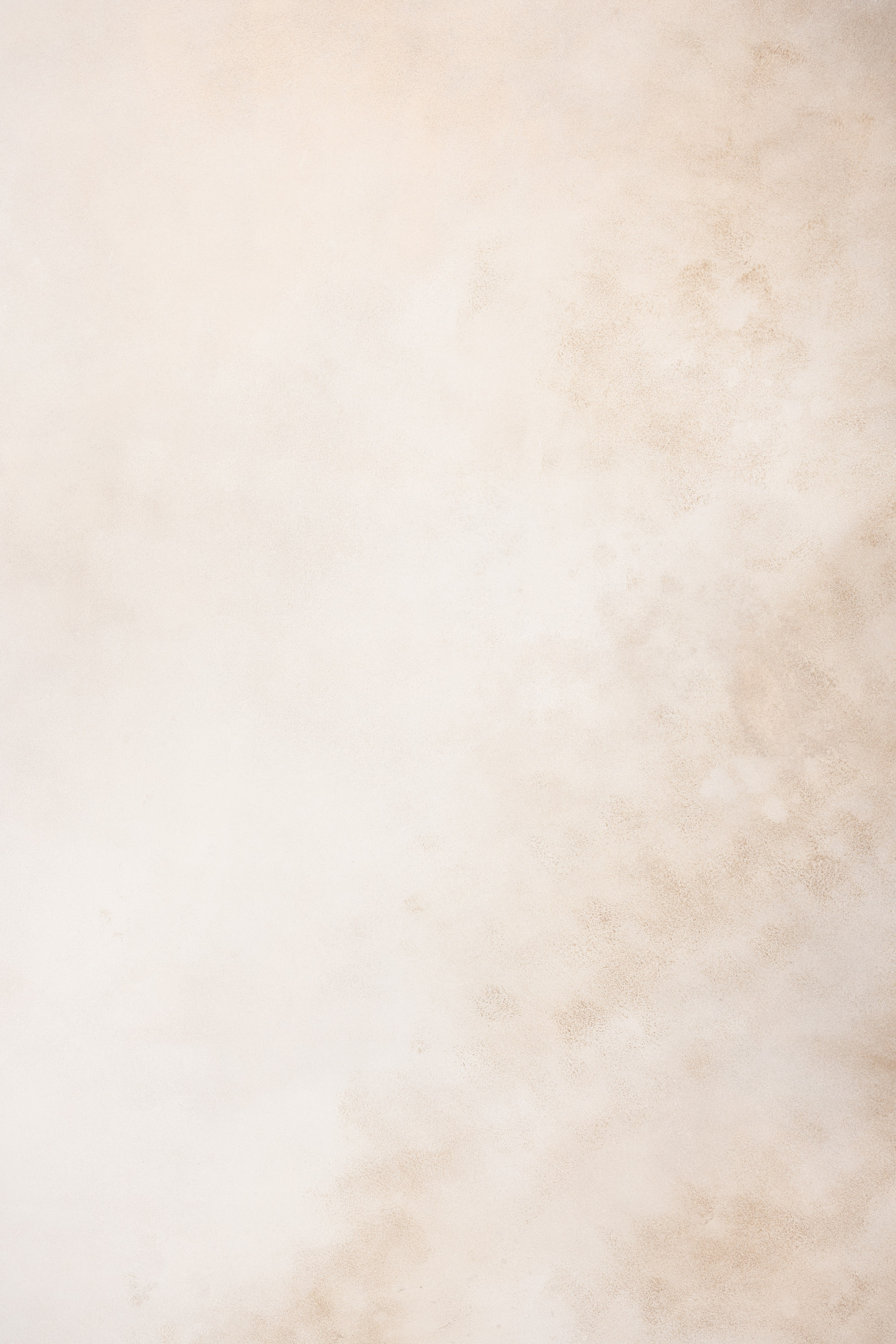 Olive Veil Painted Canvas Backdrop (SL#478) view 9
