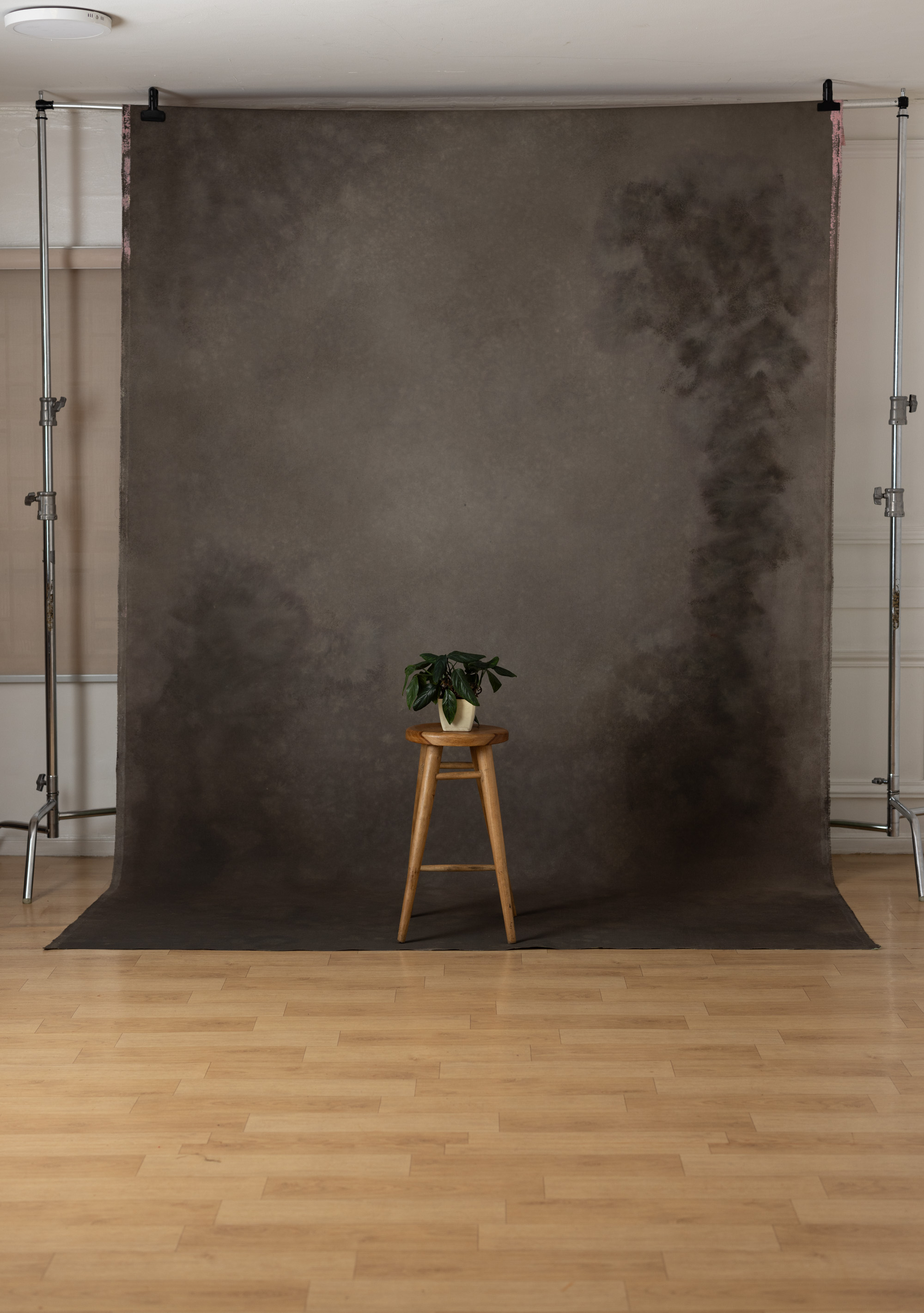 Vintage Bloom Painted Canvas Backdrop (SL#487) view 3