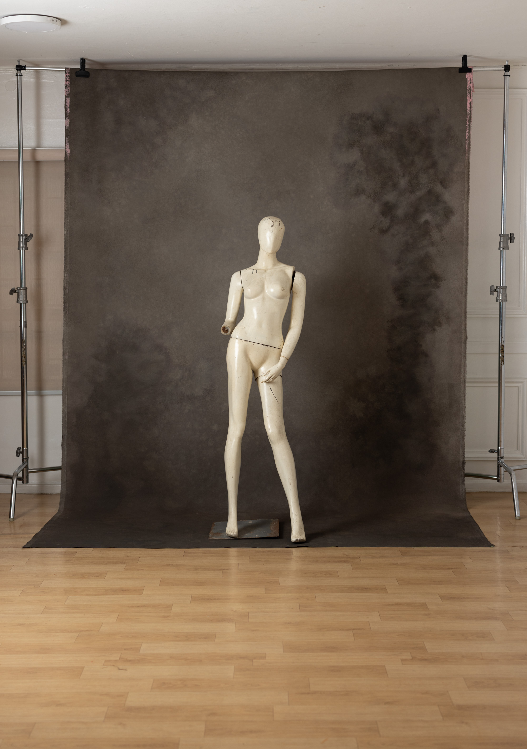 Vintage Bloom Painted Canvas Backdrop (SL#487) view 4