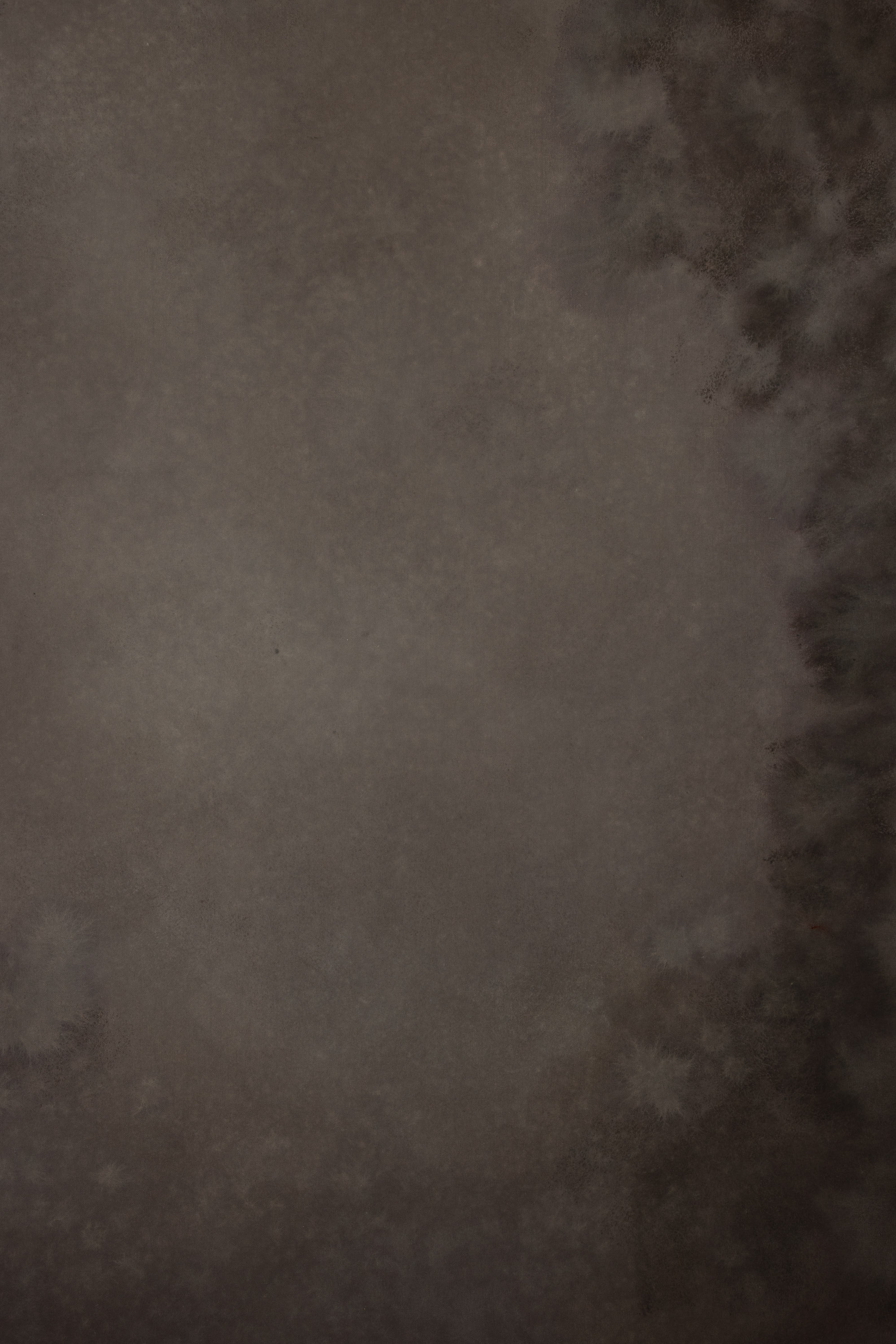 Vintage Bloom Painted Canvas Backdrop (SL#487) view 5