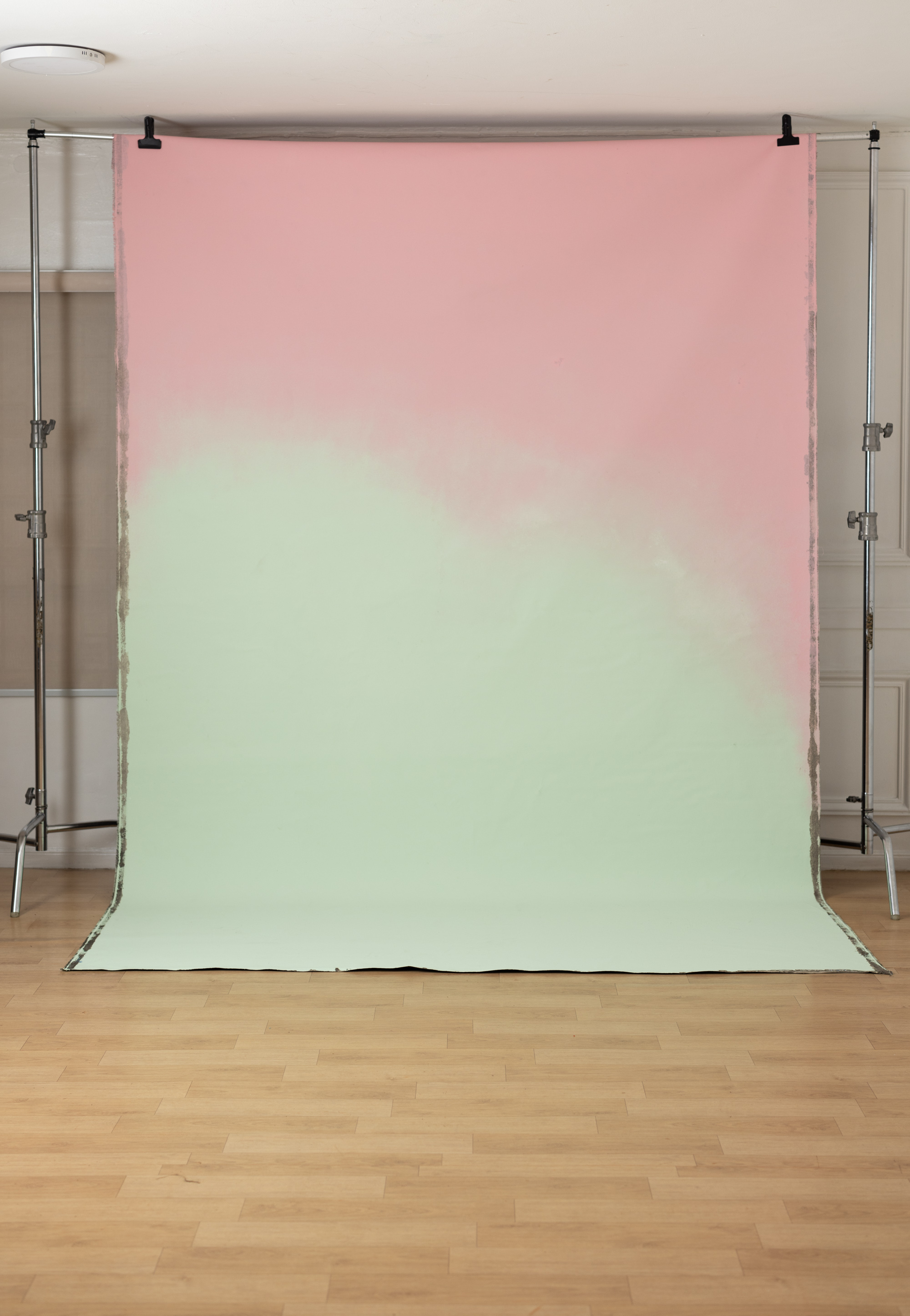 Vintage Bloom Painted Canvas Backdrop (SL#487) view 6