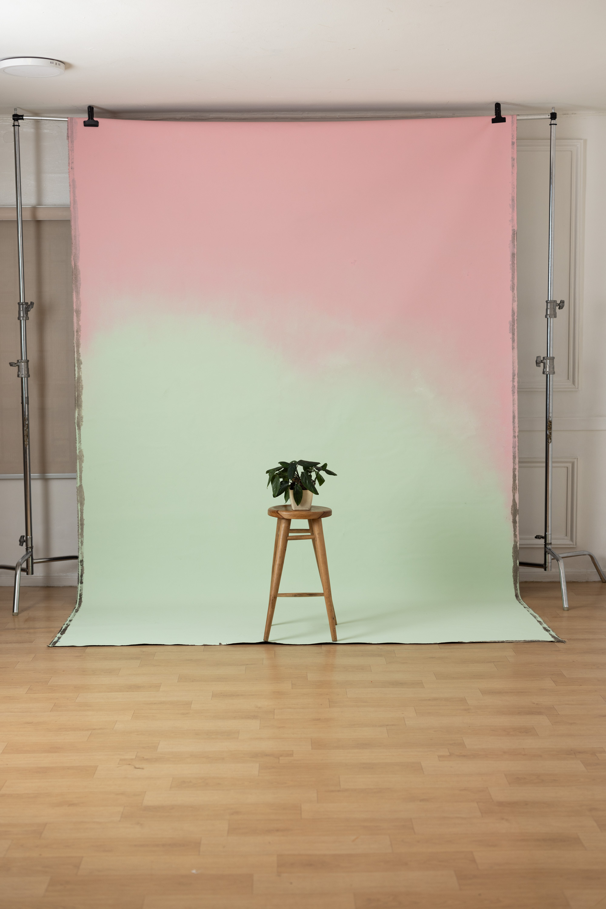 Vintage Bloom Painted Canvas Backdrop (SL#487) view 7