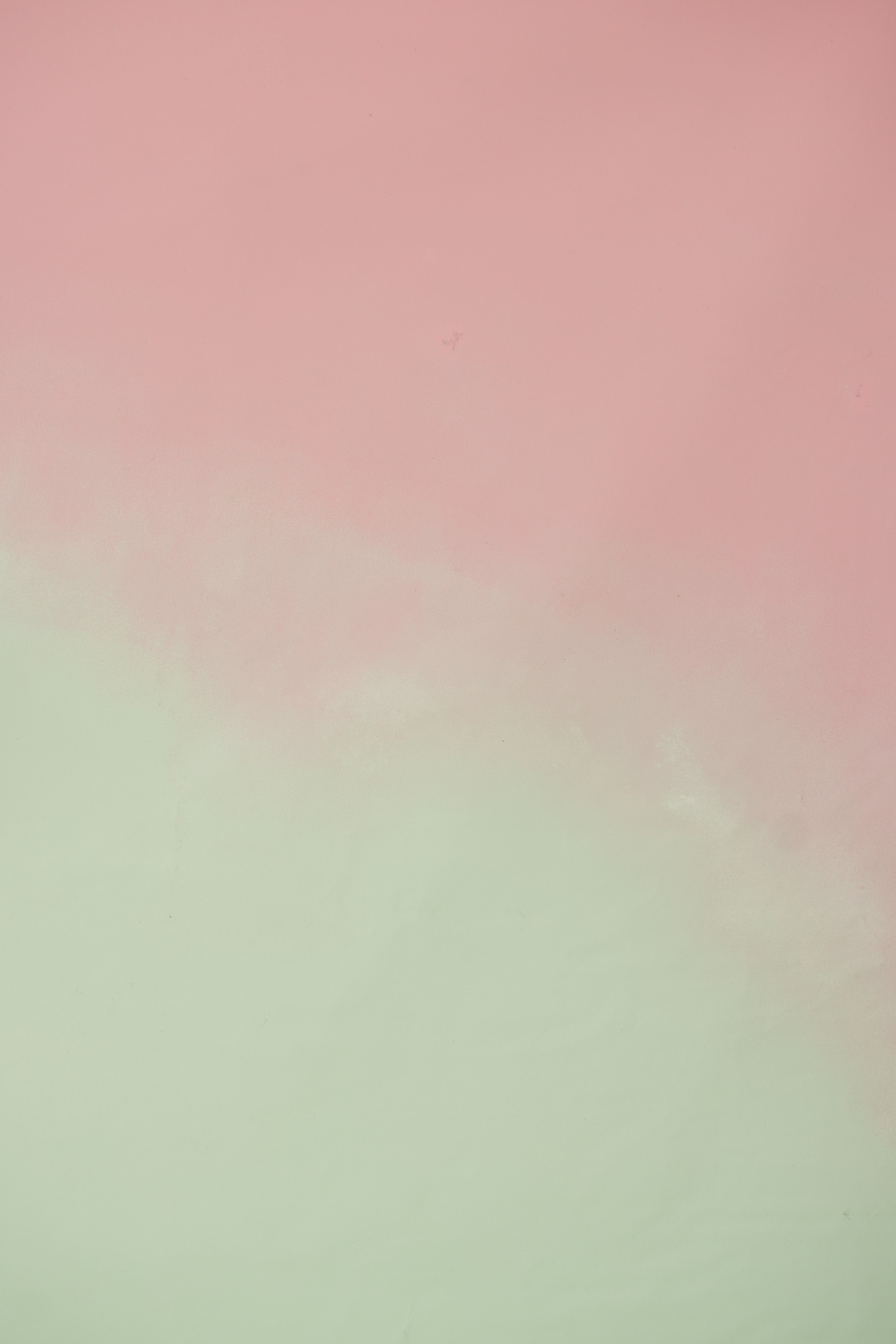 Vintage Bloom Painted Canvas Backdrop (SL#487) view 9