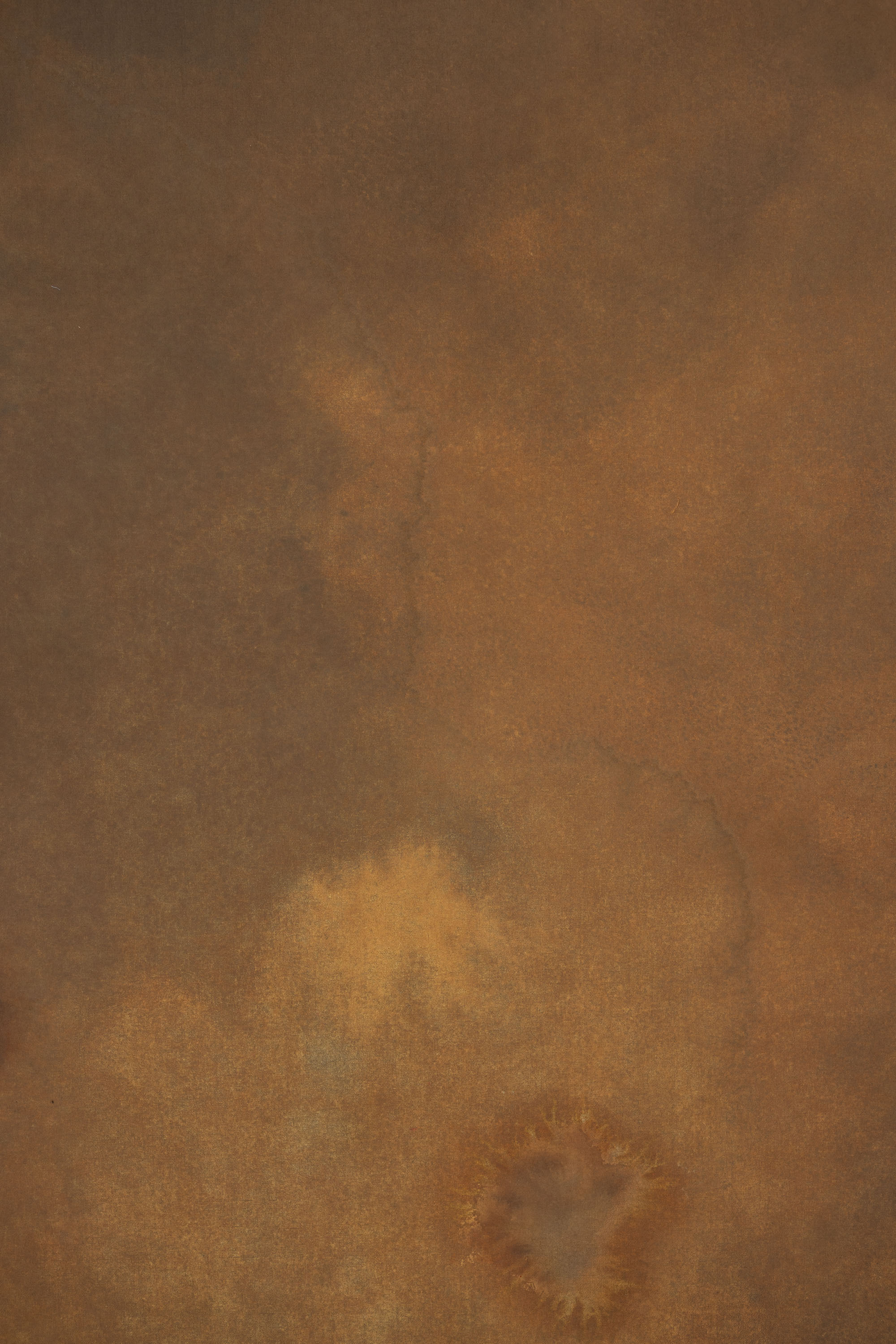 Vintage Cocoa Painted Canvas Backdrop (SL#480) view 5