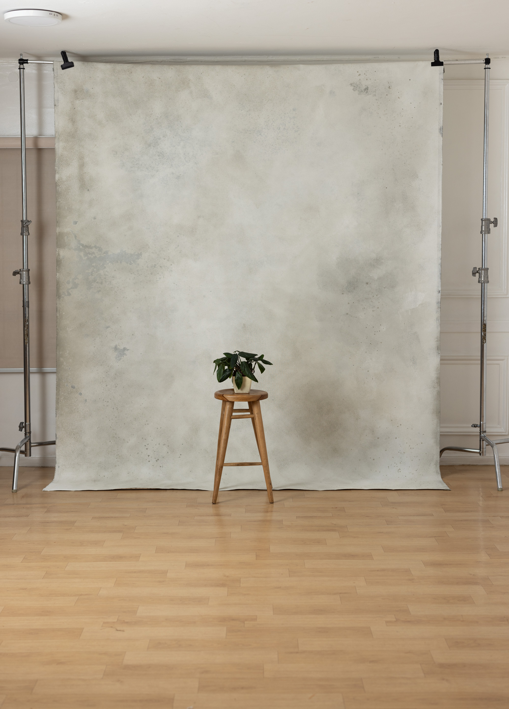 Pale Silver Painted Canvas Backdrop (SL#485)