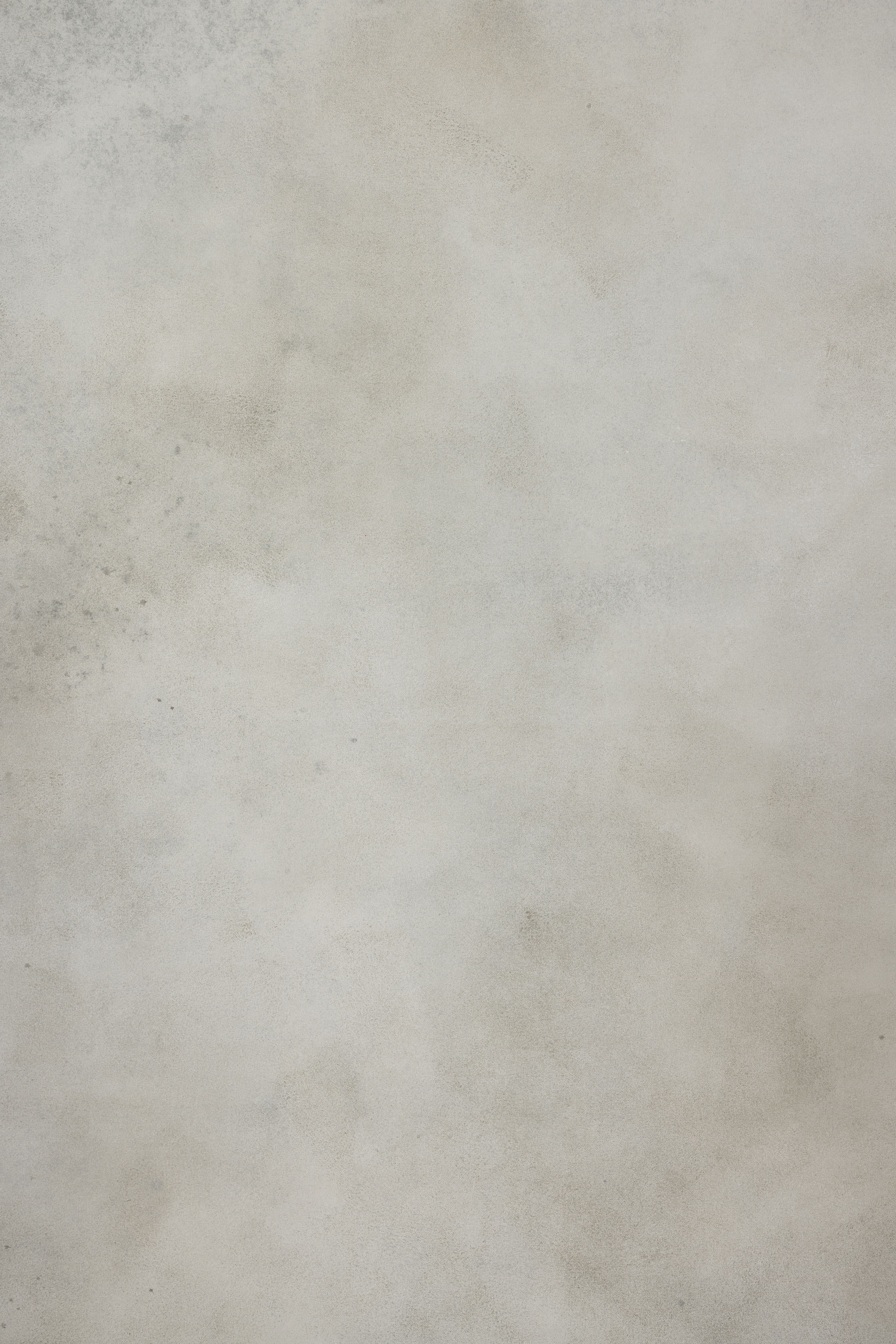 Pale Silver Painted Canvas Backdrop (SL#485) view 5