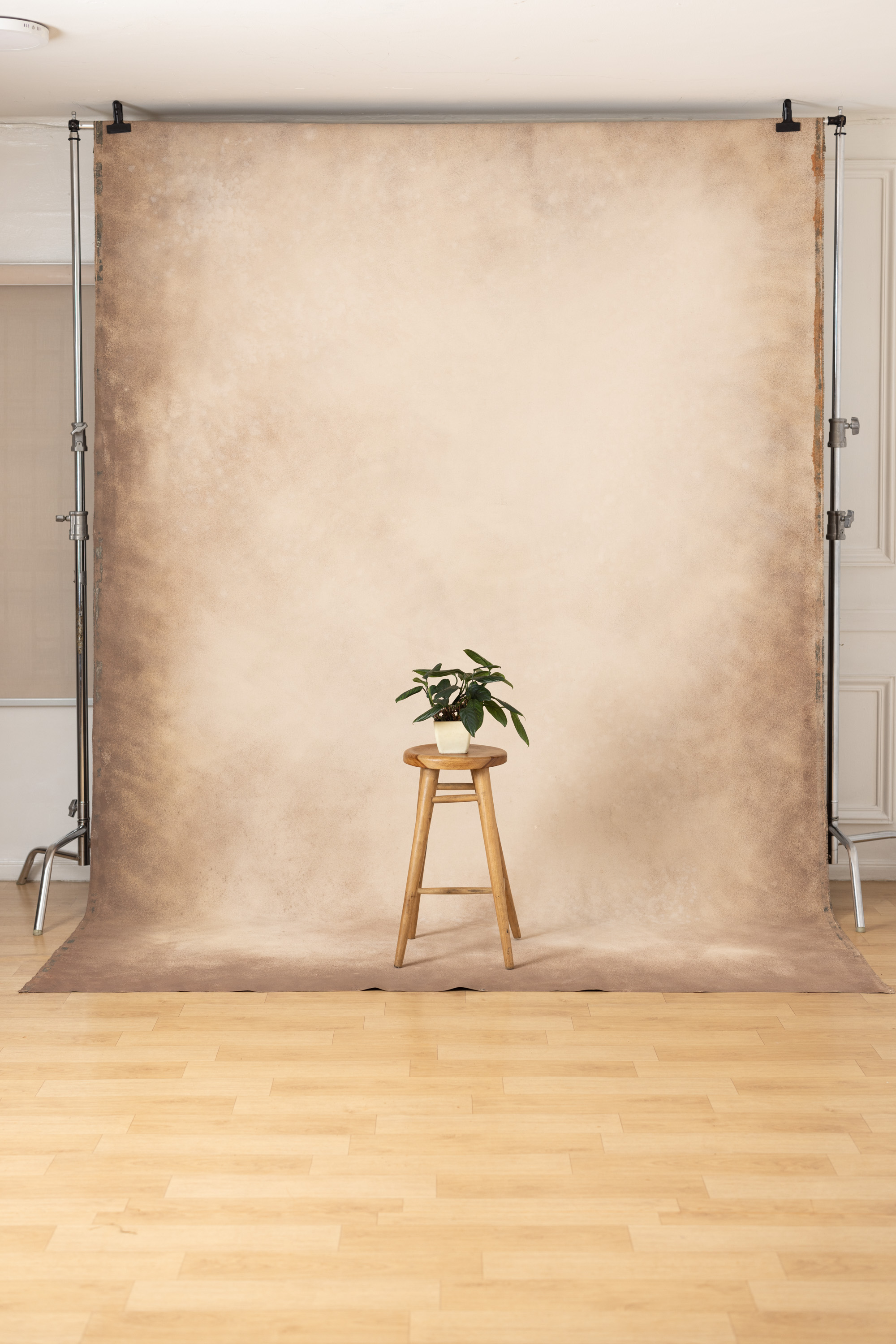 Greenwood Standstone Painted Canvas Backdrop (SL#479)