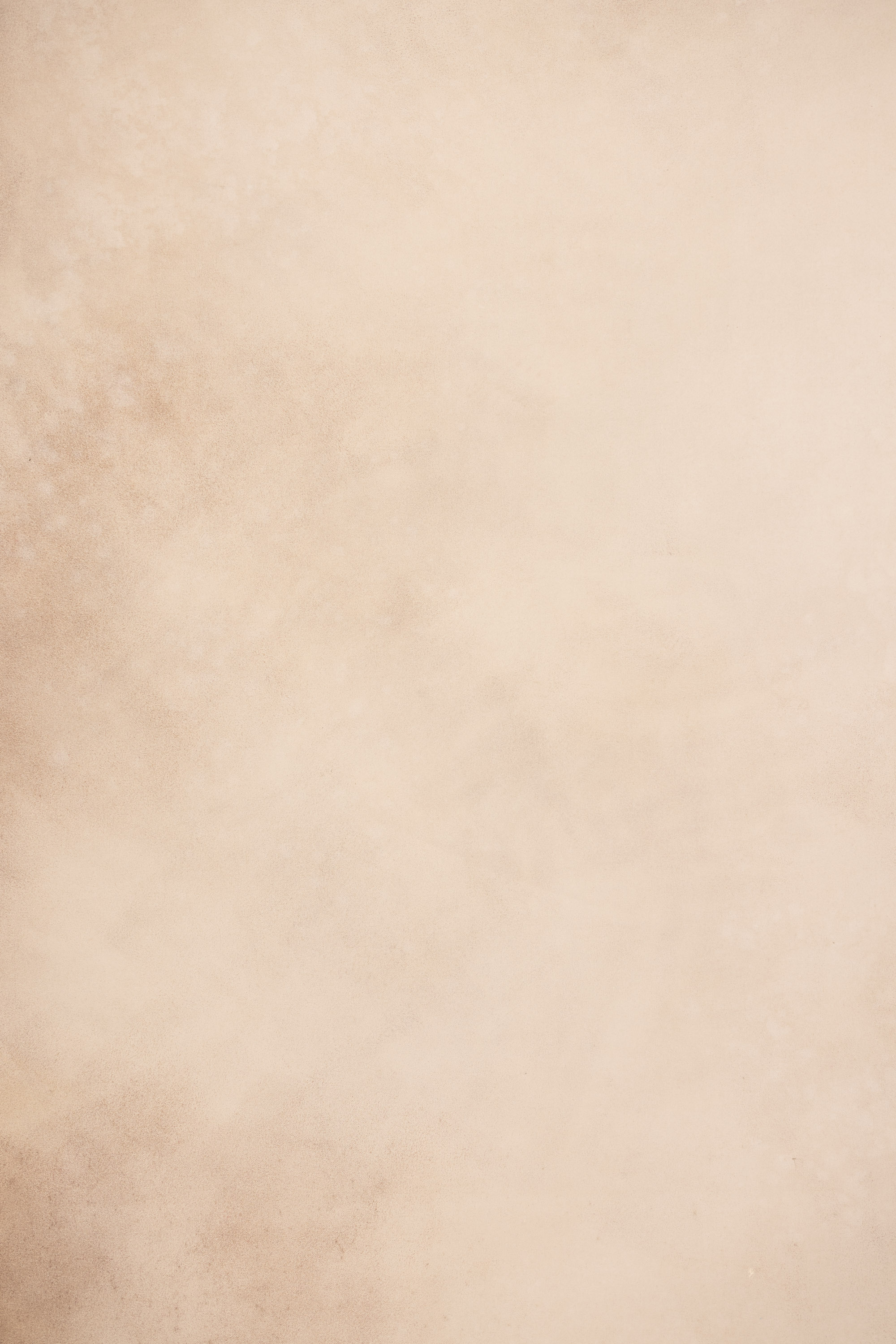 Greenwood Standstone Painted Canvas Backdrop (SL#479) view 9