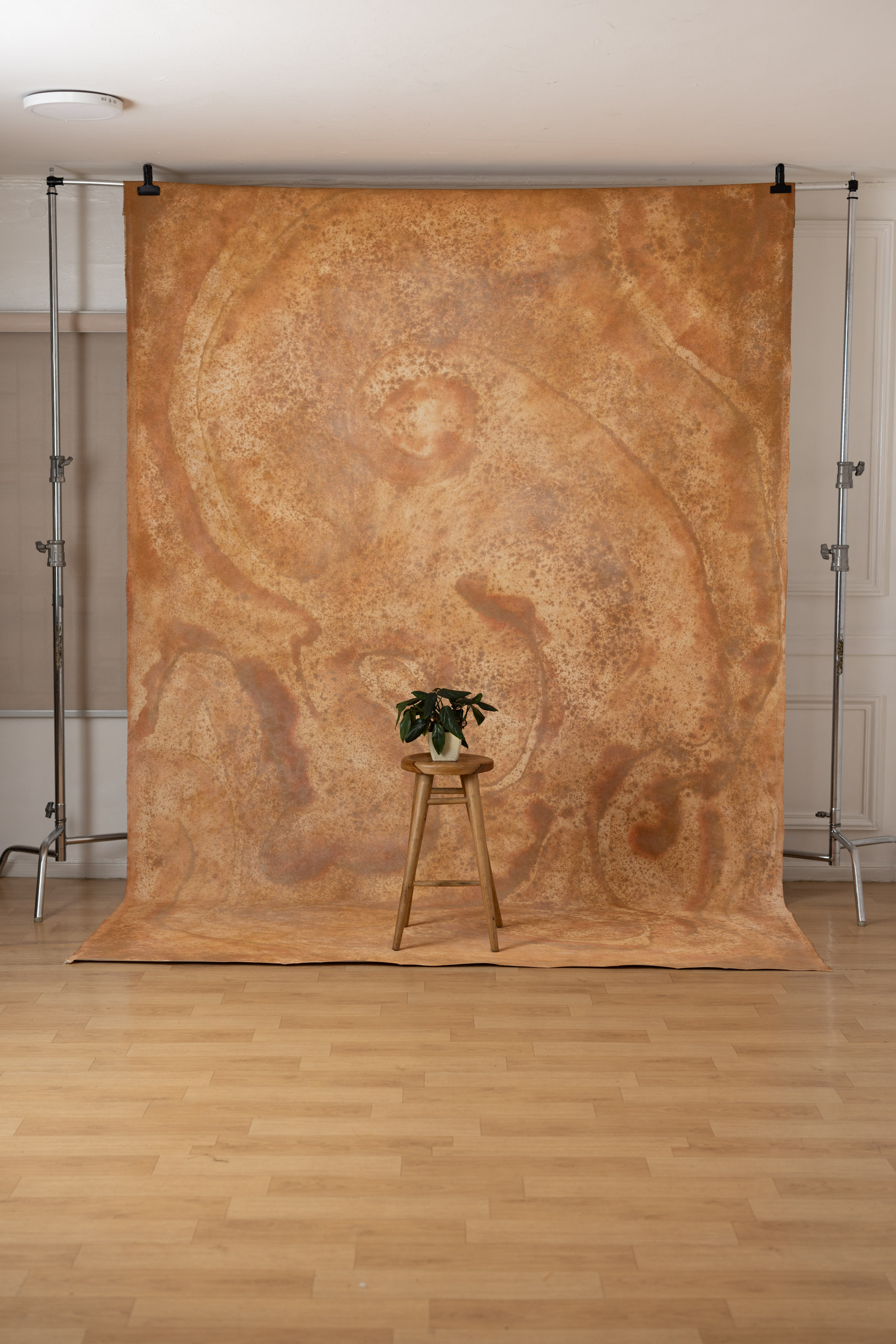 Terra Swirls Painted Canvas Backdrop (SL#486) view 3