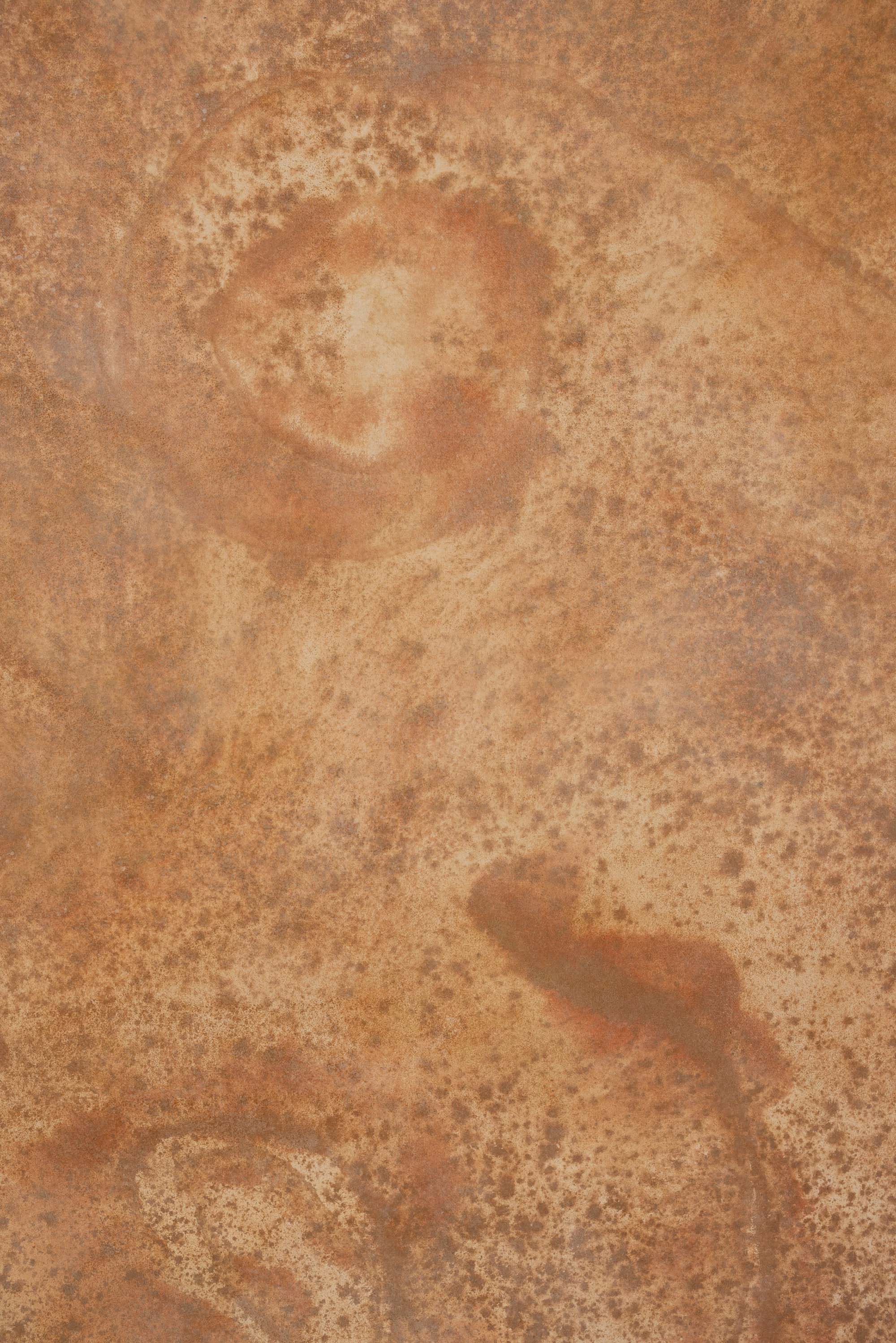 Terra Swirls Painted Canvas Backdrop (SL#486) view 5