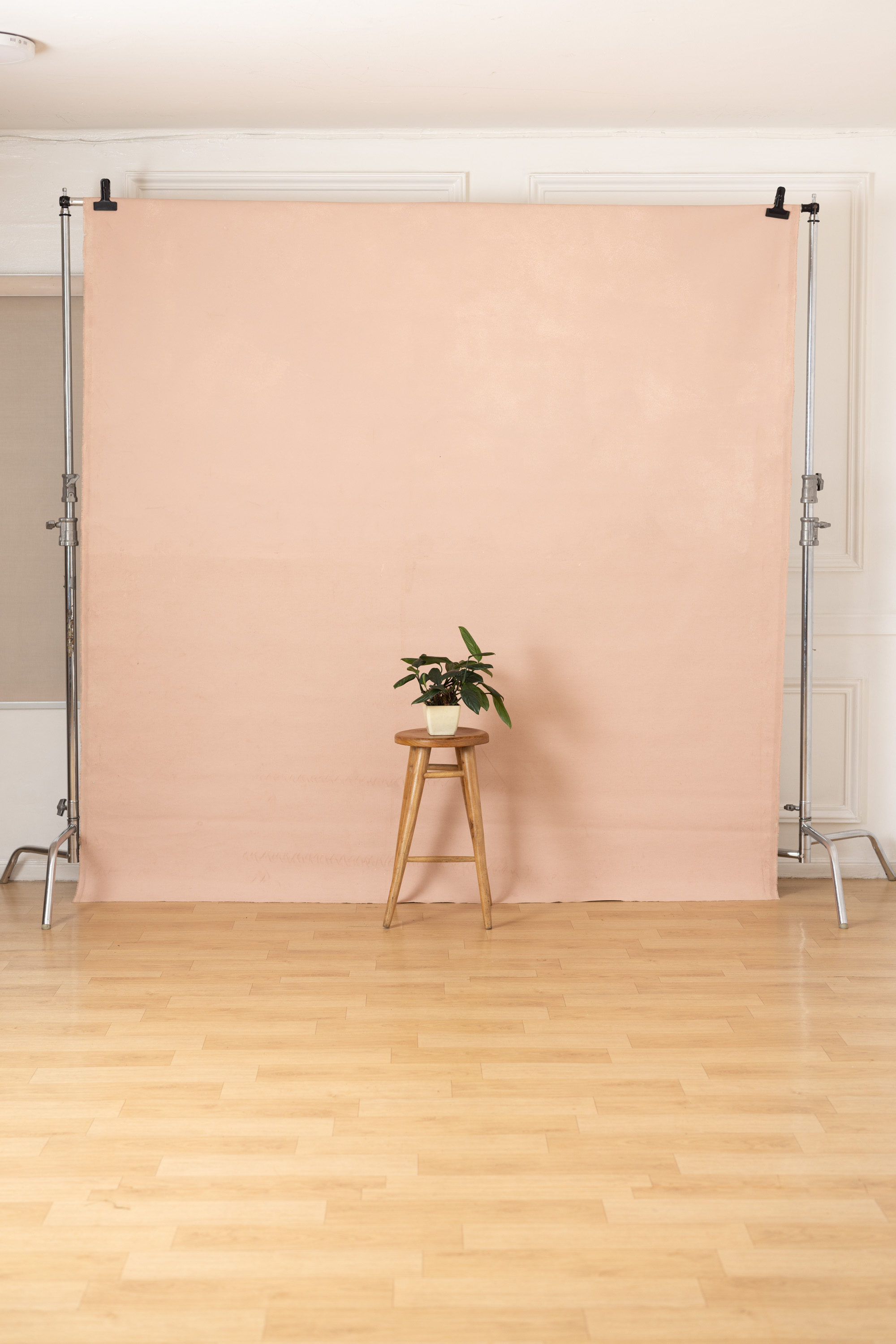Mandys Pink Painted Canvas Backdrop (RN#483)