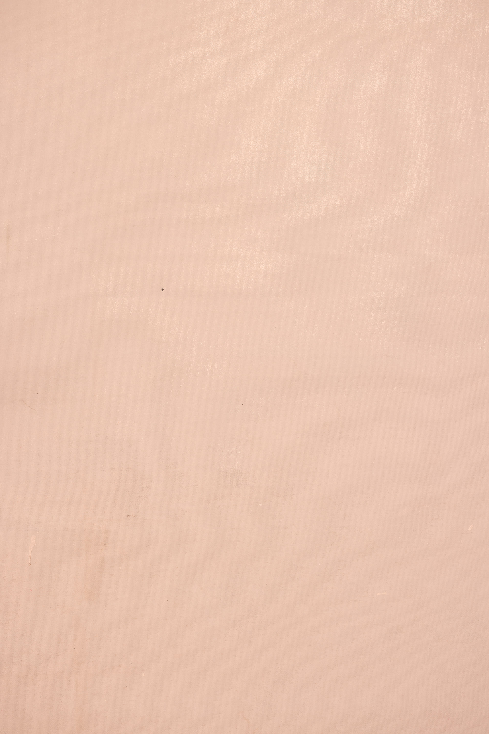 Mandys Pink Painted Canvas Backdrop (RN#483) view 5
