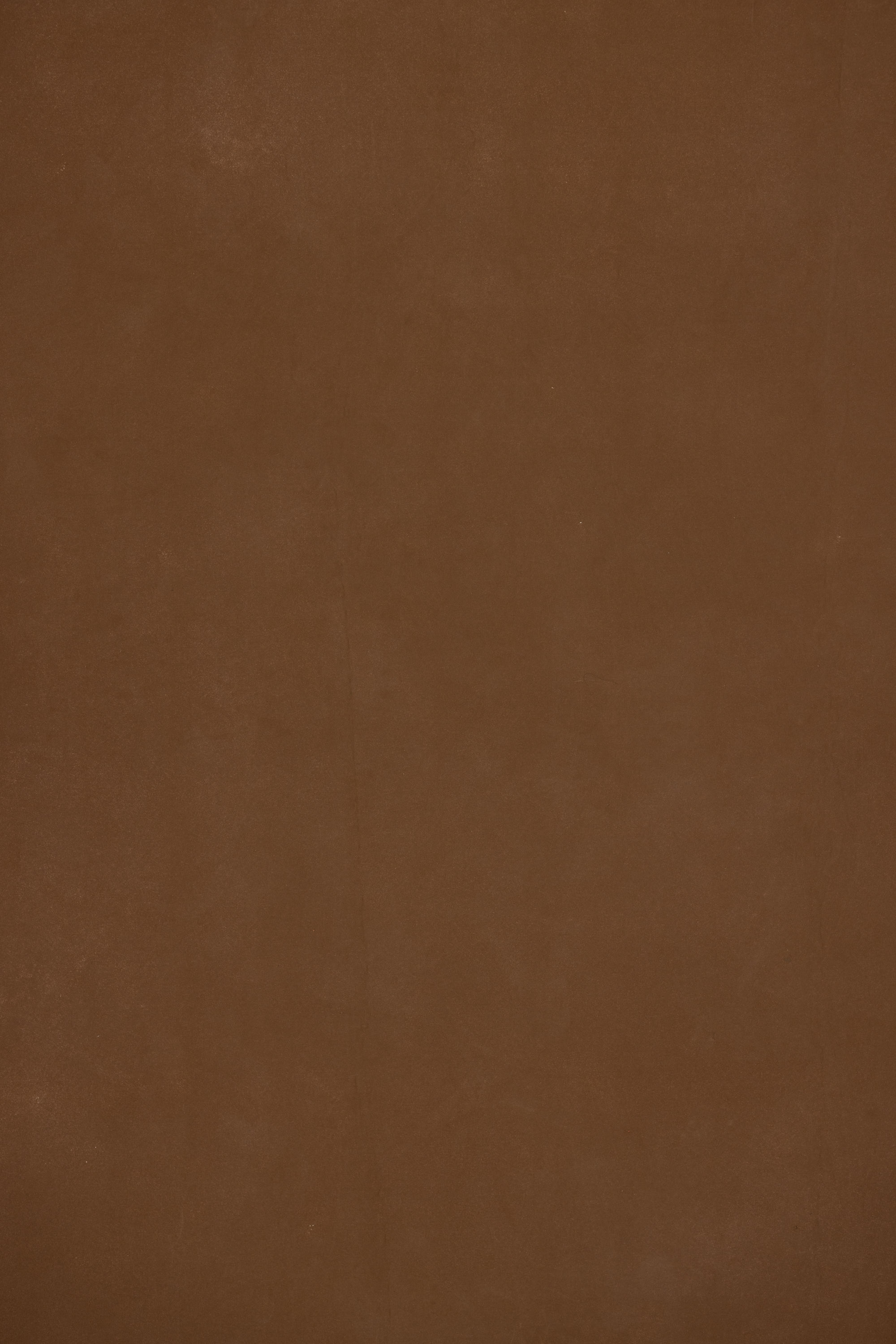 Earthy Walnut Painted Canvas Backdrop (RN#482) view 5