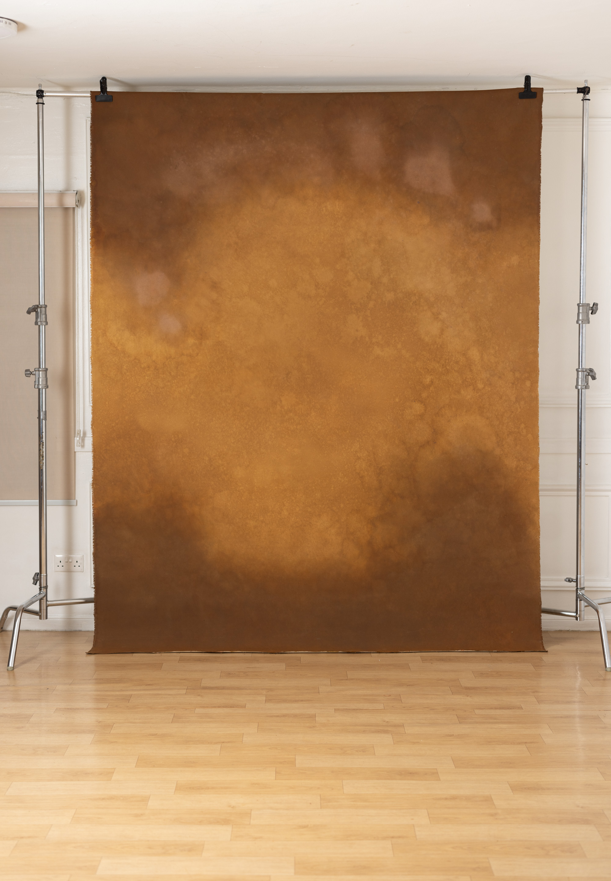 Golden Dusk Painted Canvas Backdrop (RN#481) view 2