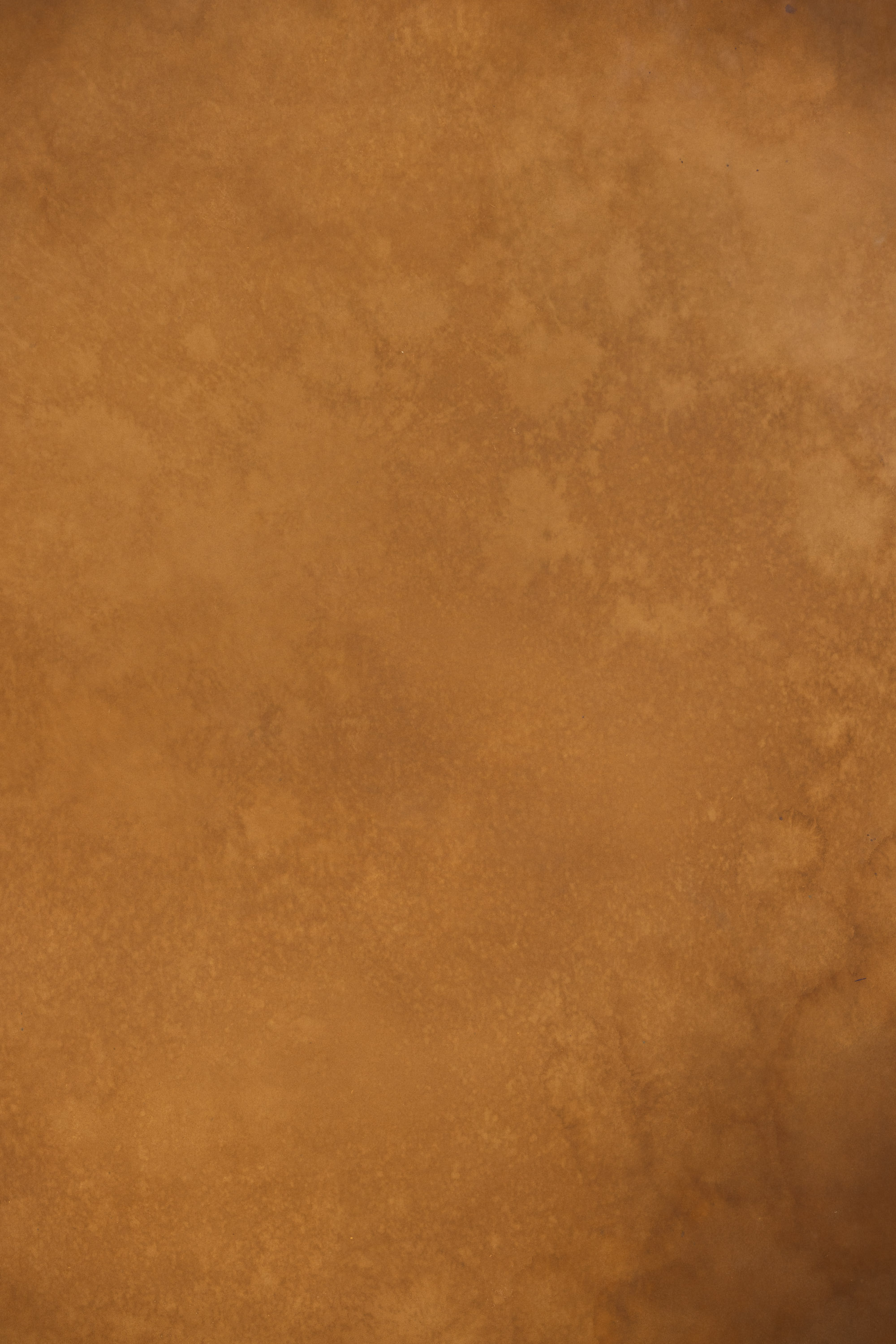 Golden Dusk Painted Canvas Backdrop (RN#481) view 5