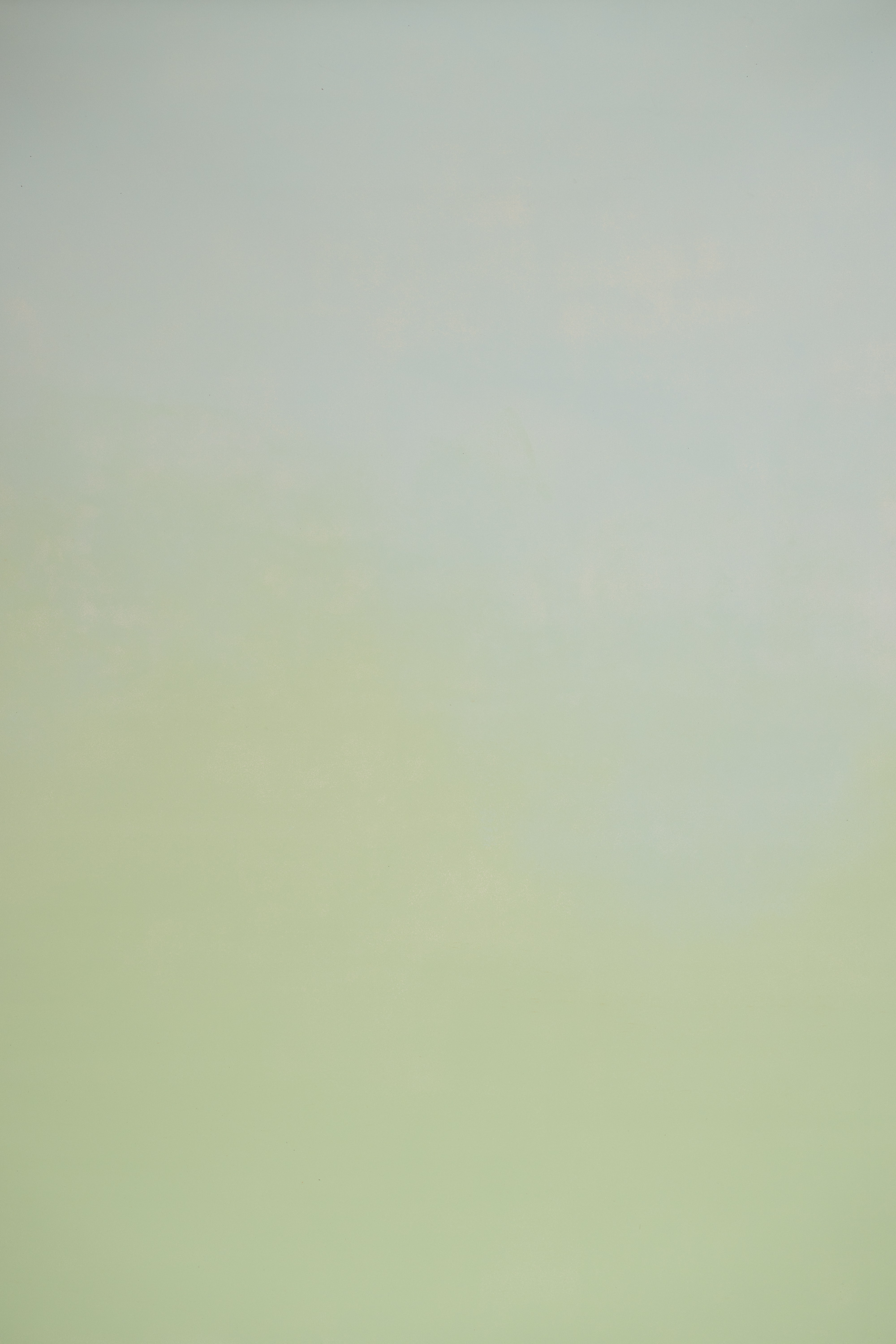 Mint Dune Painted Canvas Backdrop(RN#474) view 2