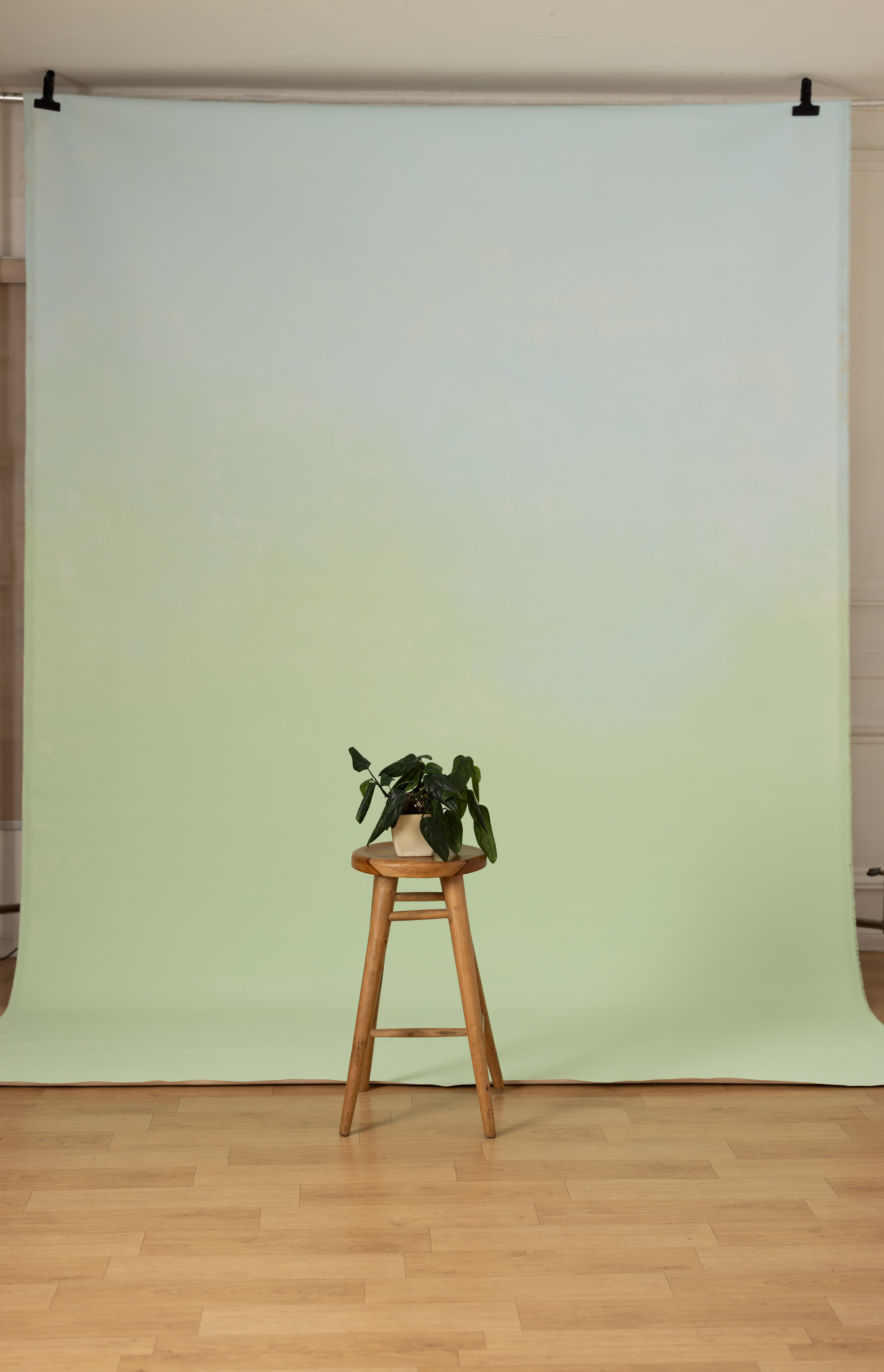 Mint Dune Painted Canvas Backdrop(RN#474) view 3