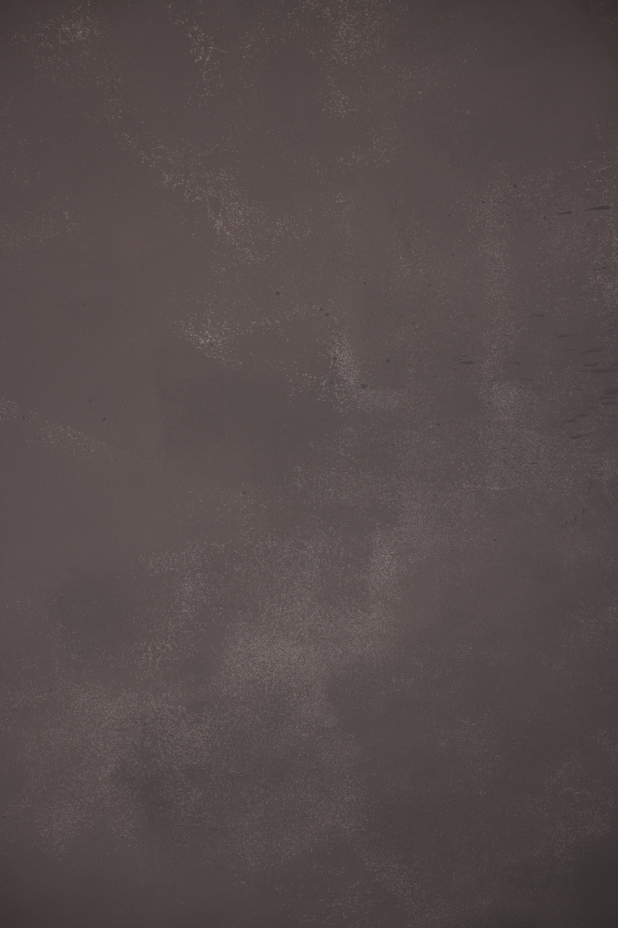 Mint Dune Painted Canvas Backdrop(RN#474) view 5