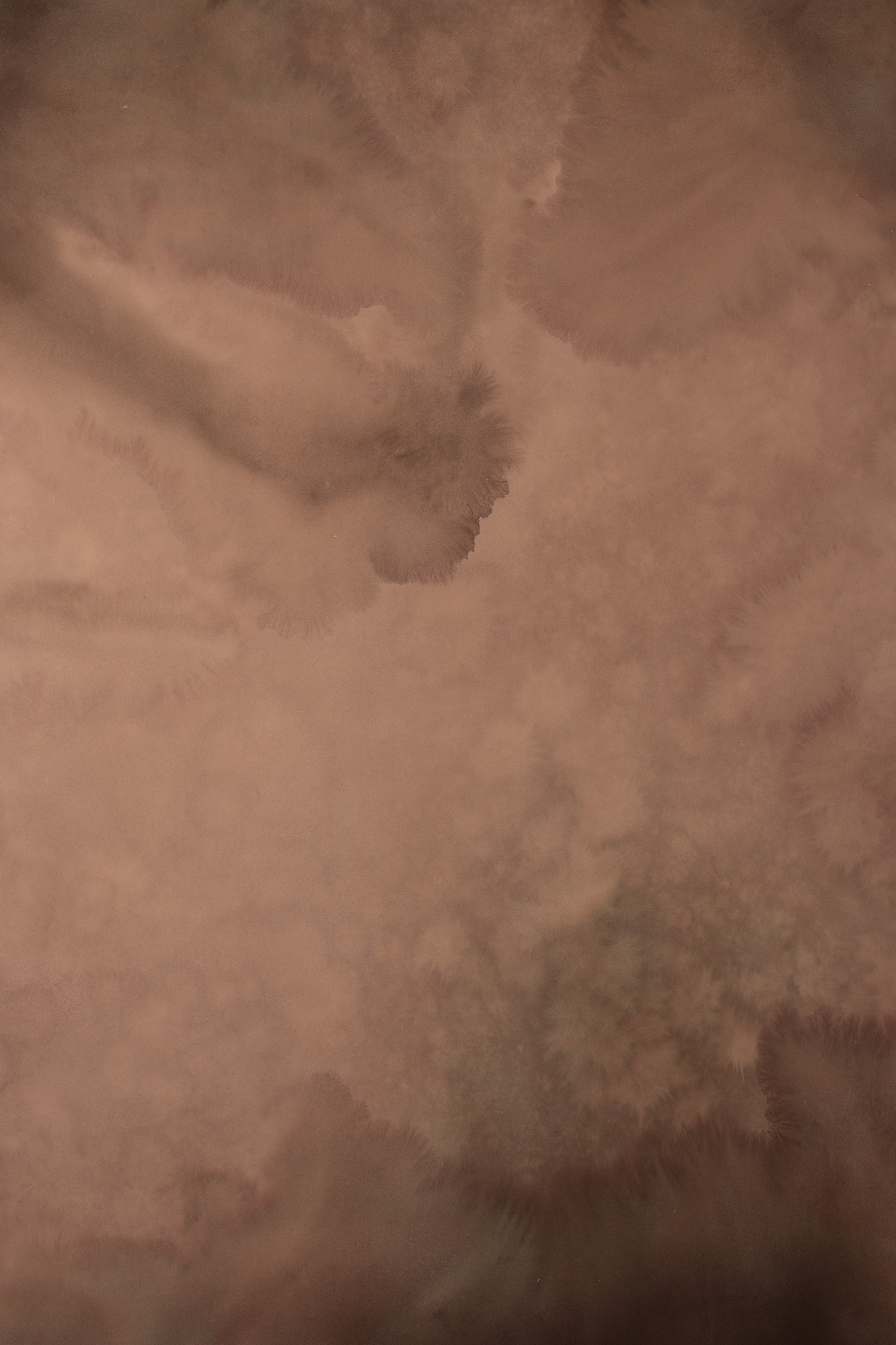 Cashmere Coffee Painted Canvas Backdrop (RN#461) view 5