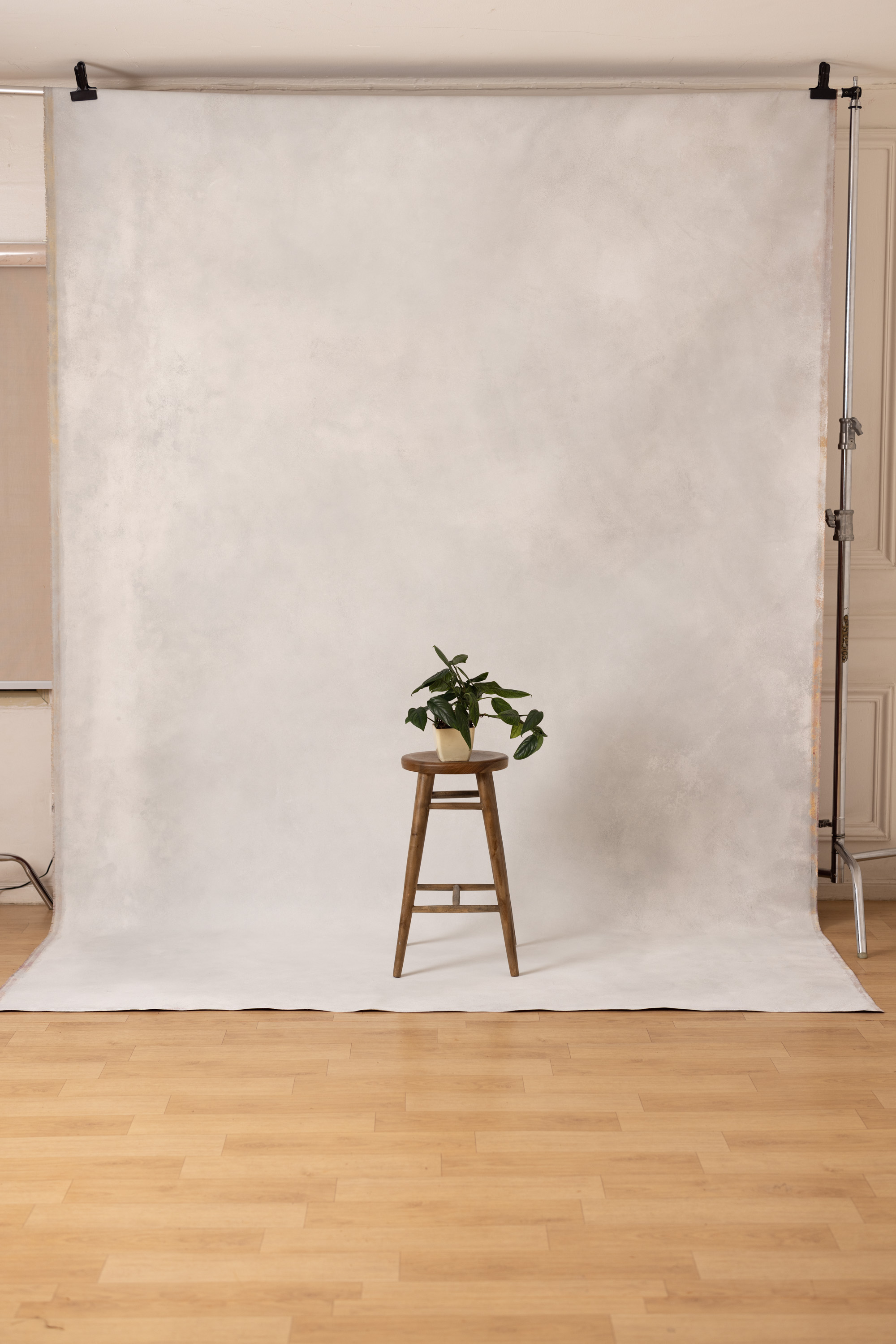 Cinder Mist Painted Canvas Backdrop (RN#460) view 3