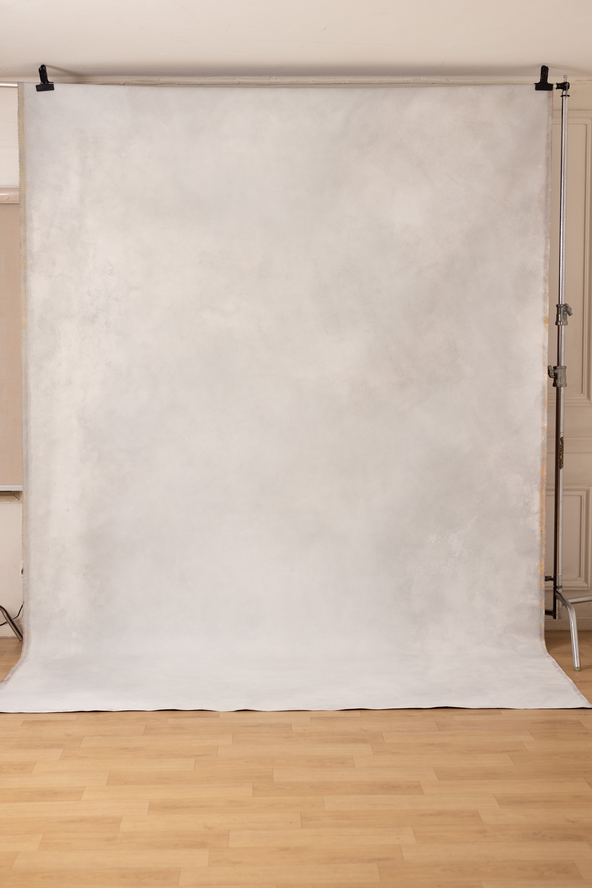 Cinder Mist Painted Canvas Backdrop (RN#460) view 4