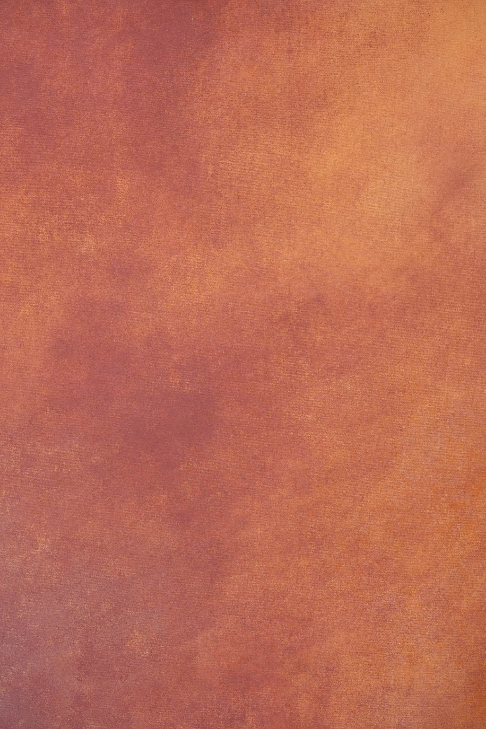 Cinder Mist Painted Canvas Backdrop (RN#460) view 6