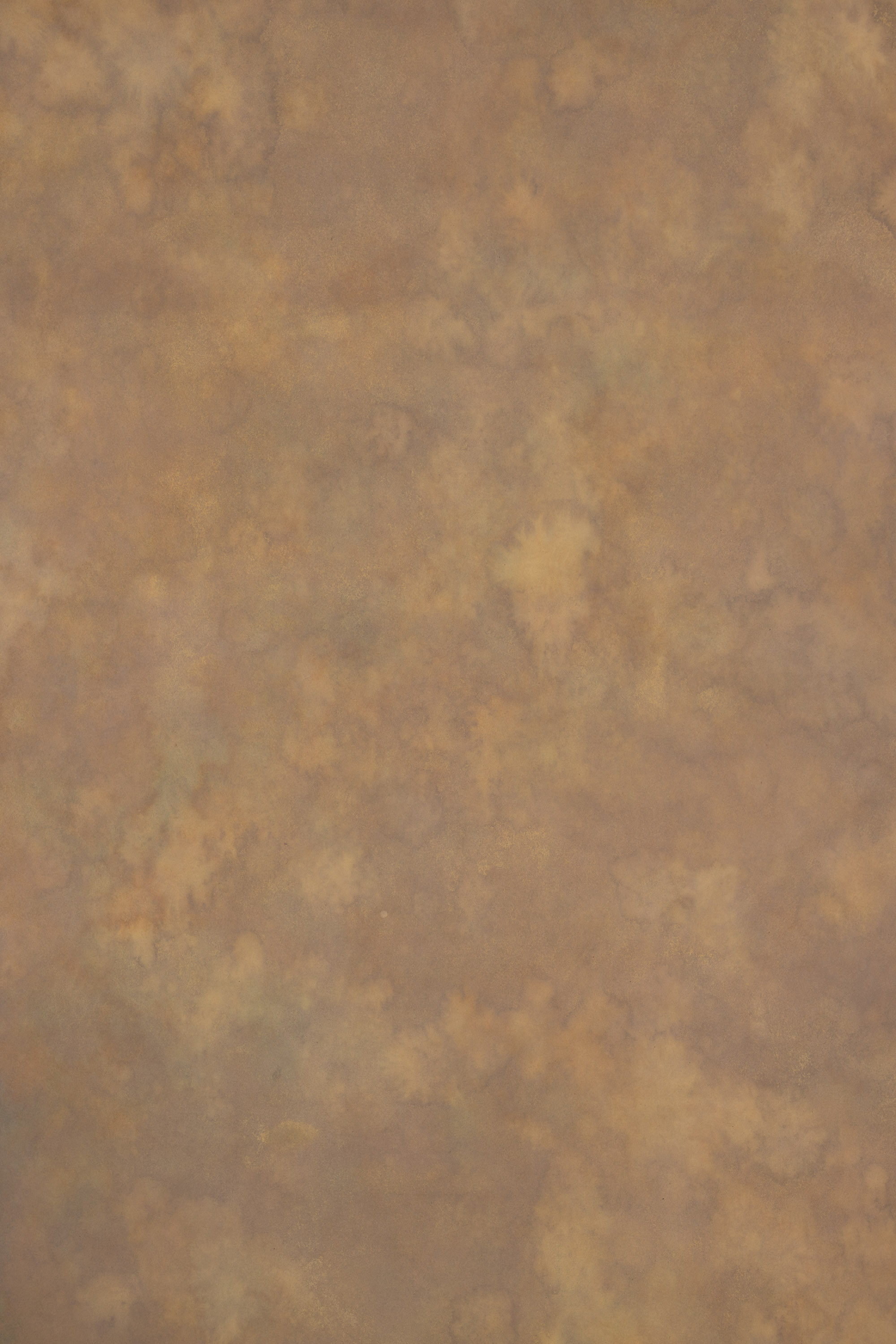 Beaver Painted Canvas Backdrop (RN#458) view 2