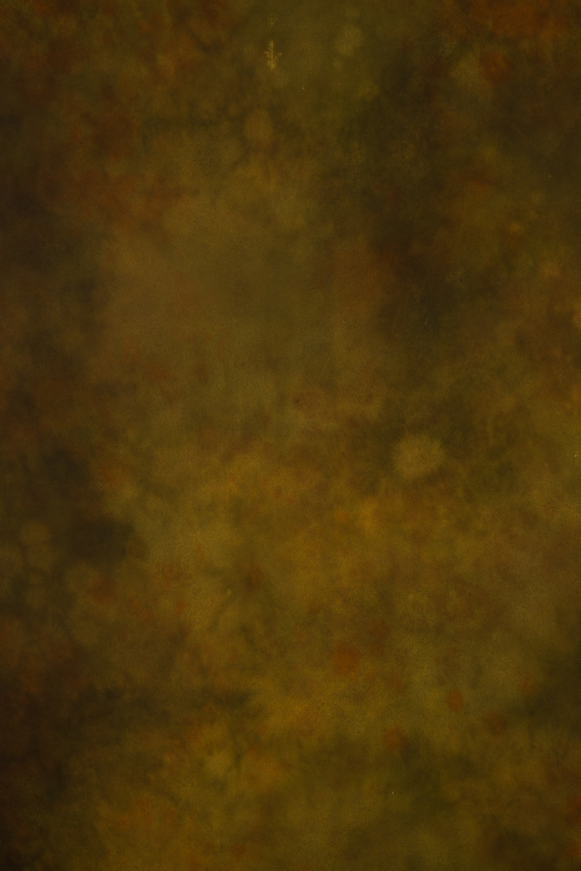 Thatch Green Painted Canvas Backdrop (RN#457) view 2