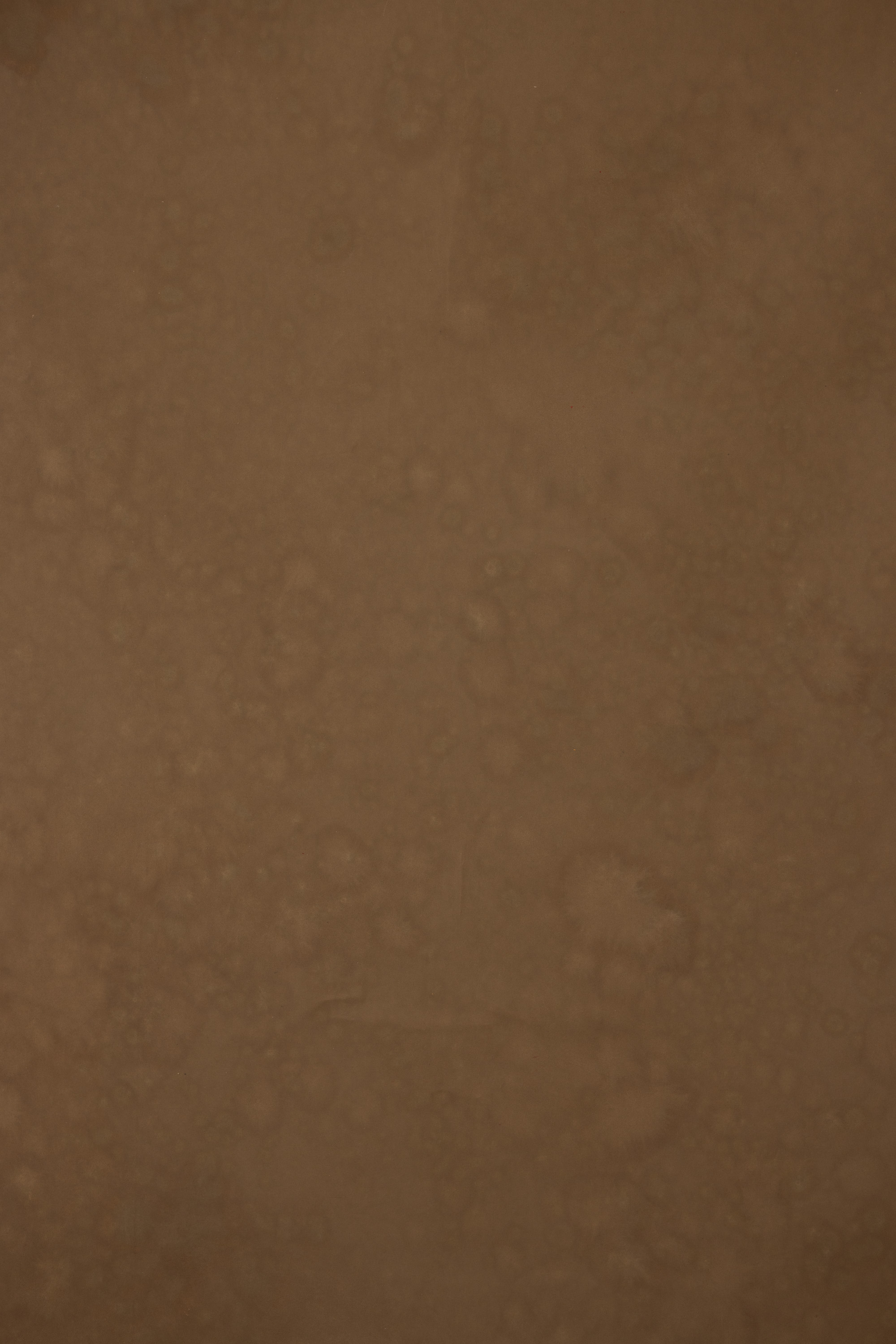 Otter Brown Painted Canvas Backdrop (RN#452) view 2