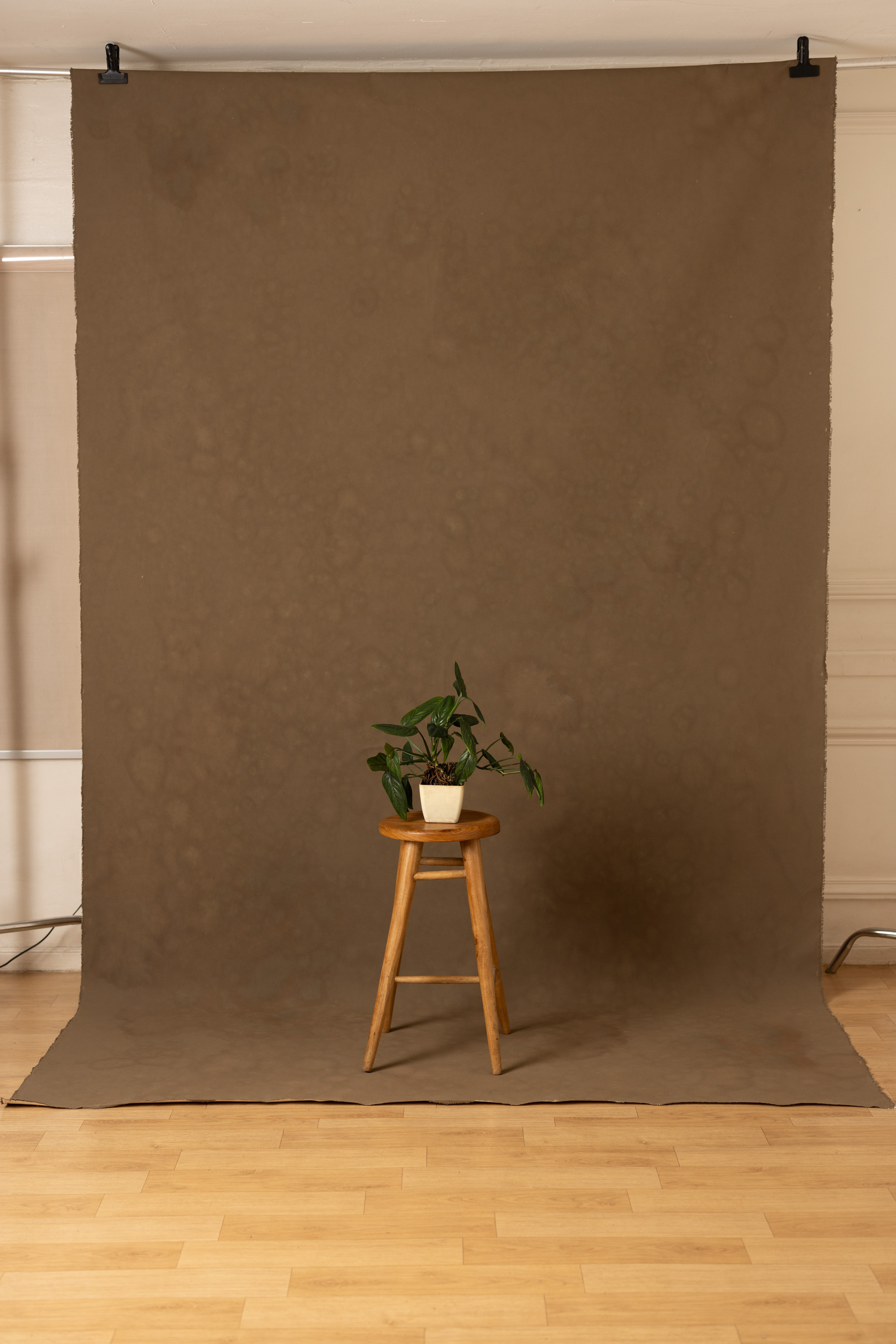 Otter Brown Painted Canvas Backdrop (RN#452) view 3