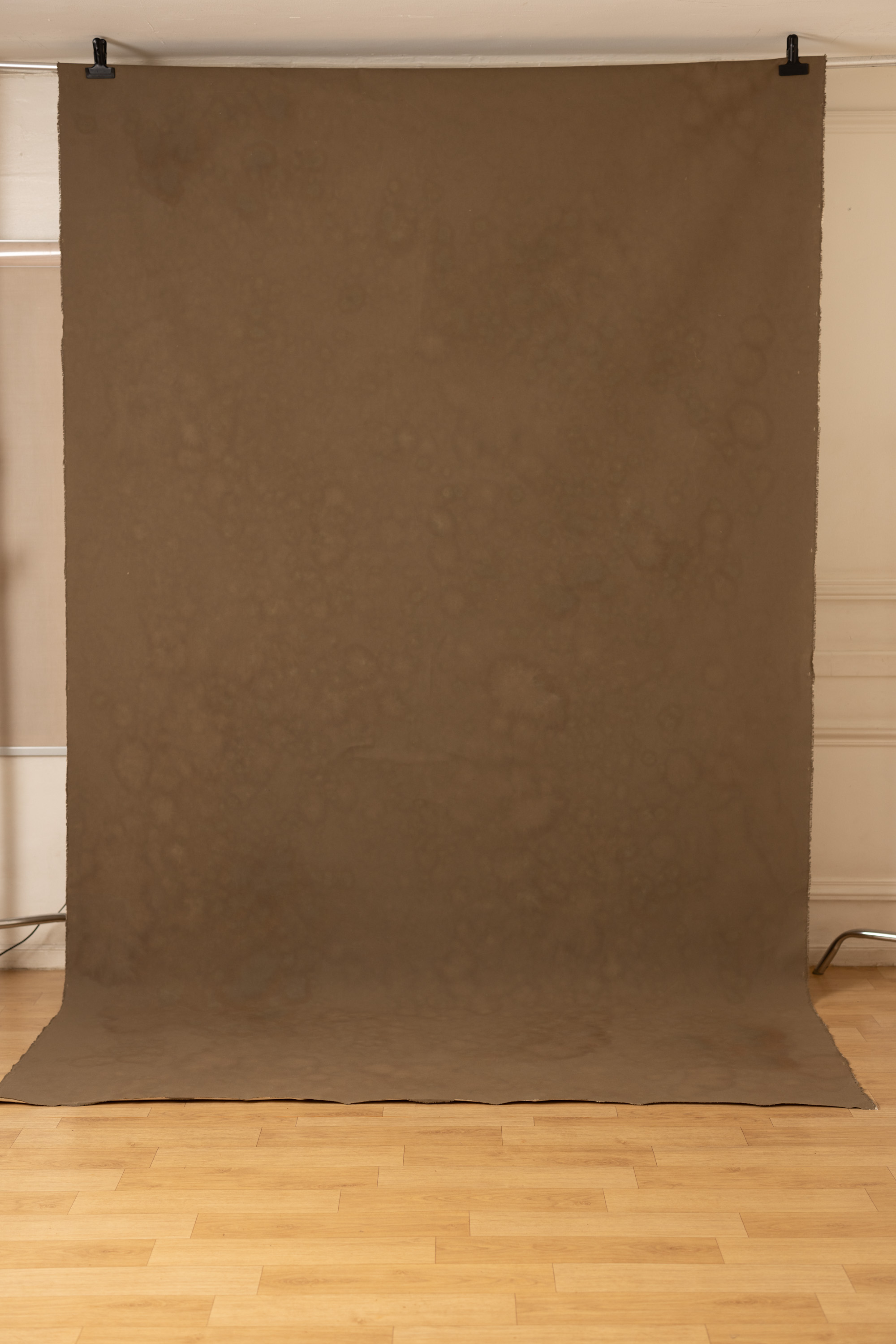Otter Brown Painted Canvas Backdrop (RN#452) view 4