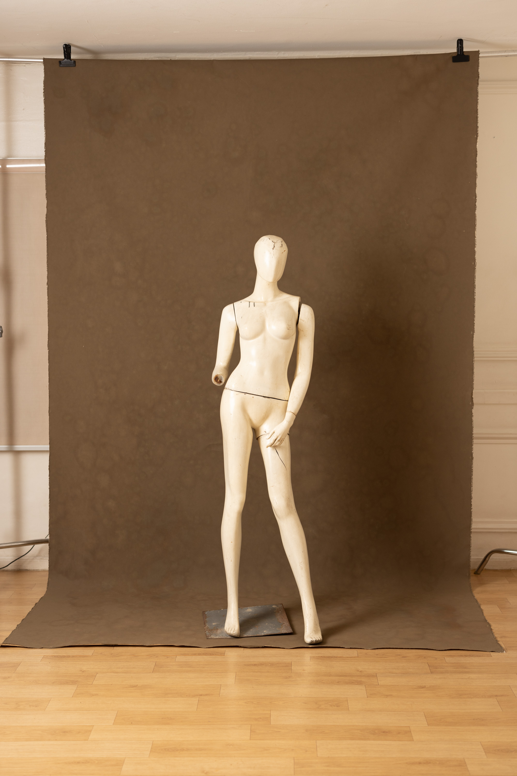 Otter Brown Painted Canvas Backdrop (RN#452) view 5