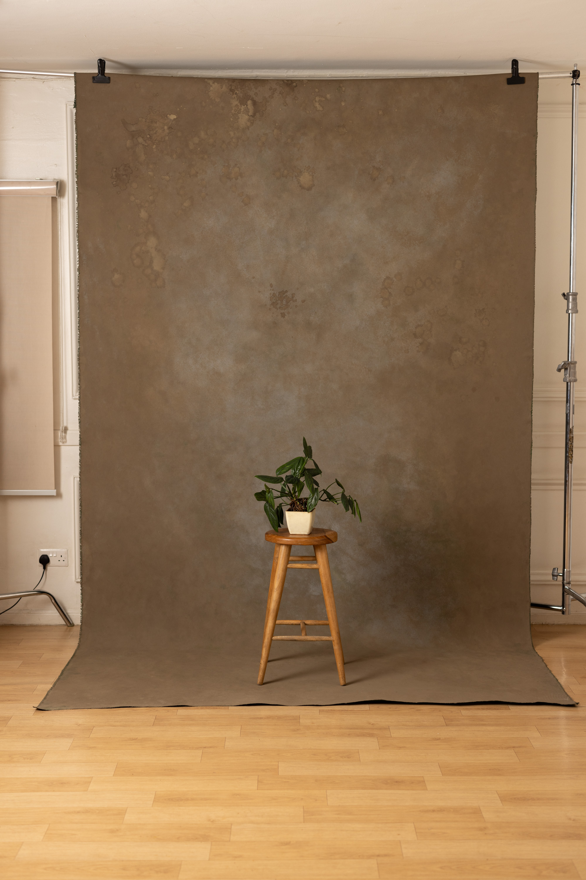 Seaweed Shoreline Painted Canvas Backdrop (RN#450)