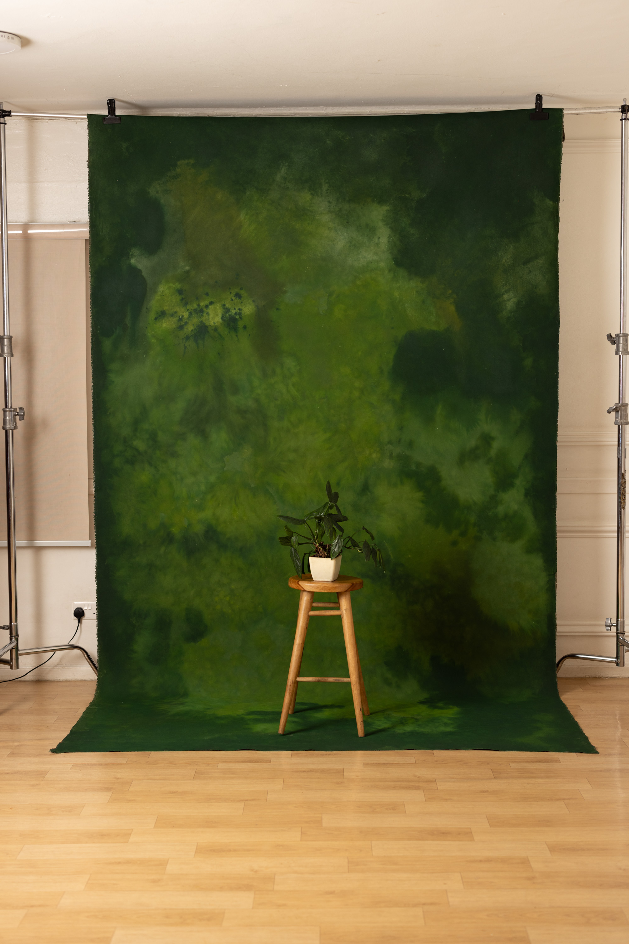 Seaweed Shoreline Painted Canvas Backdrop (RN#450) view 3