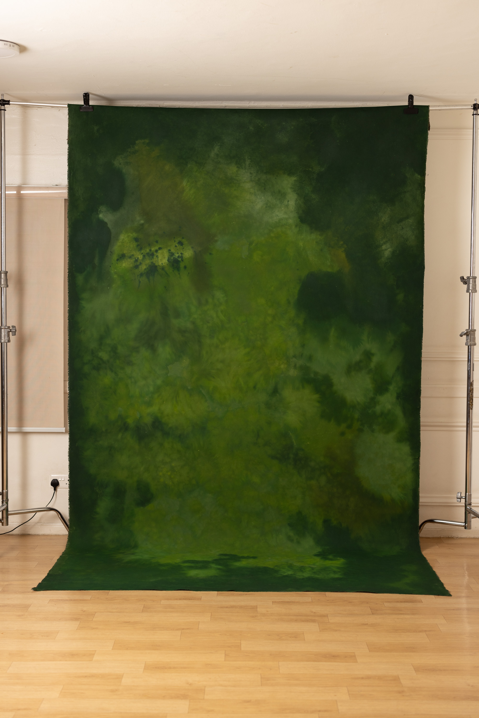 Seaweed Shoreline Painted Canvas Backdrop (RN#450) view 4