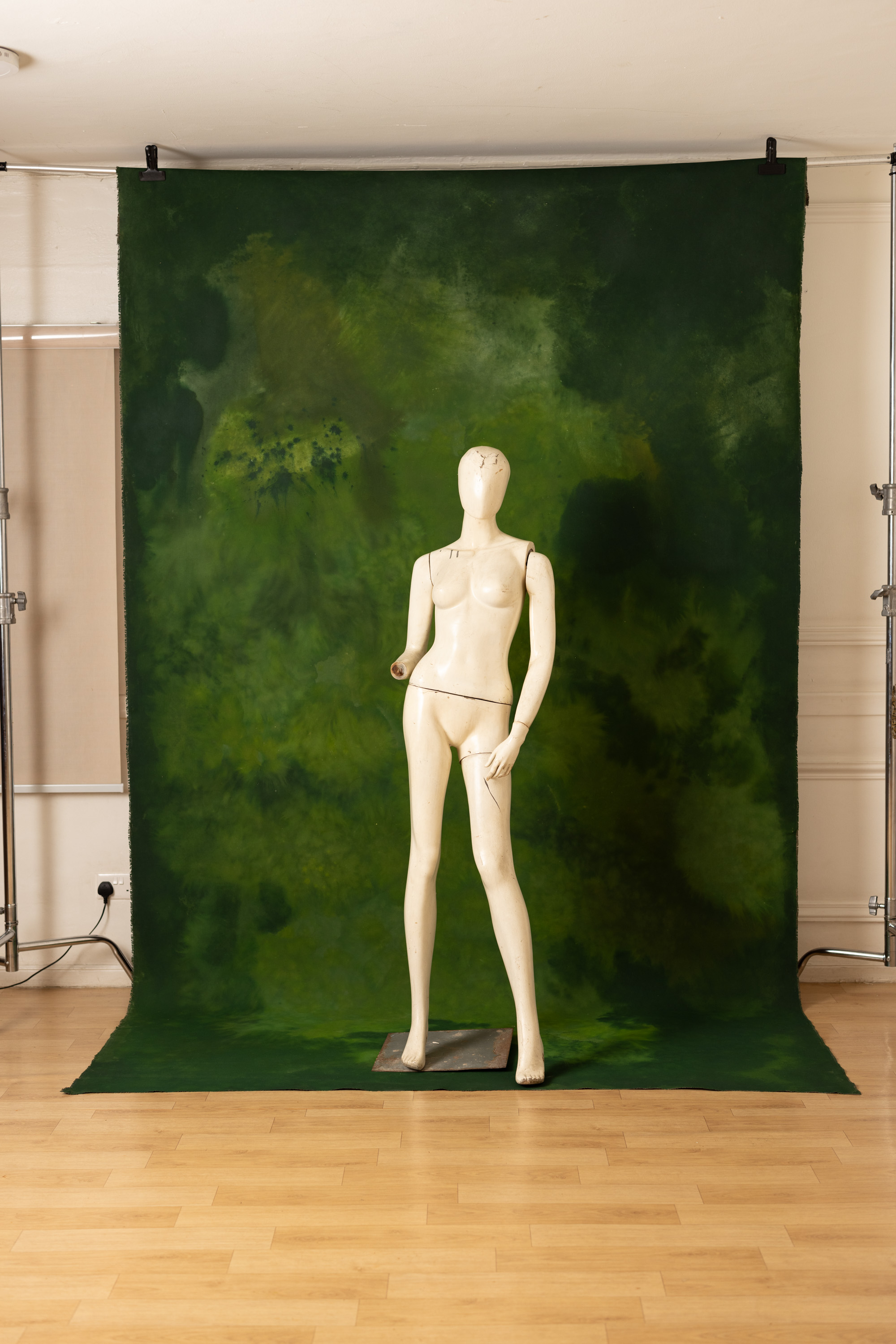 Seaweed Shoreline Painted Canvas Backdrop (RN#450) view 5