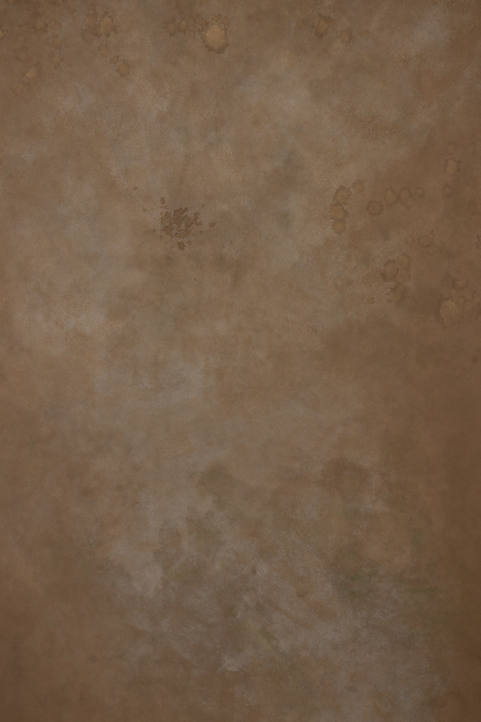 Seaweed Shoreline Painted Canvas Backdrop (RN#450) view 6
