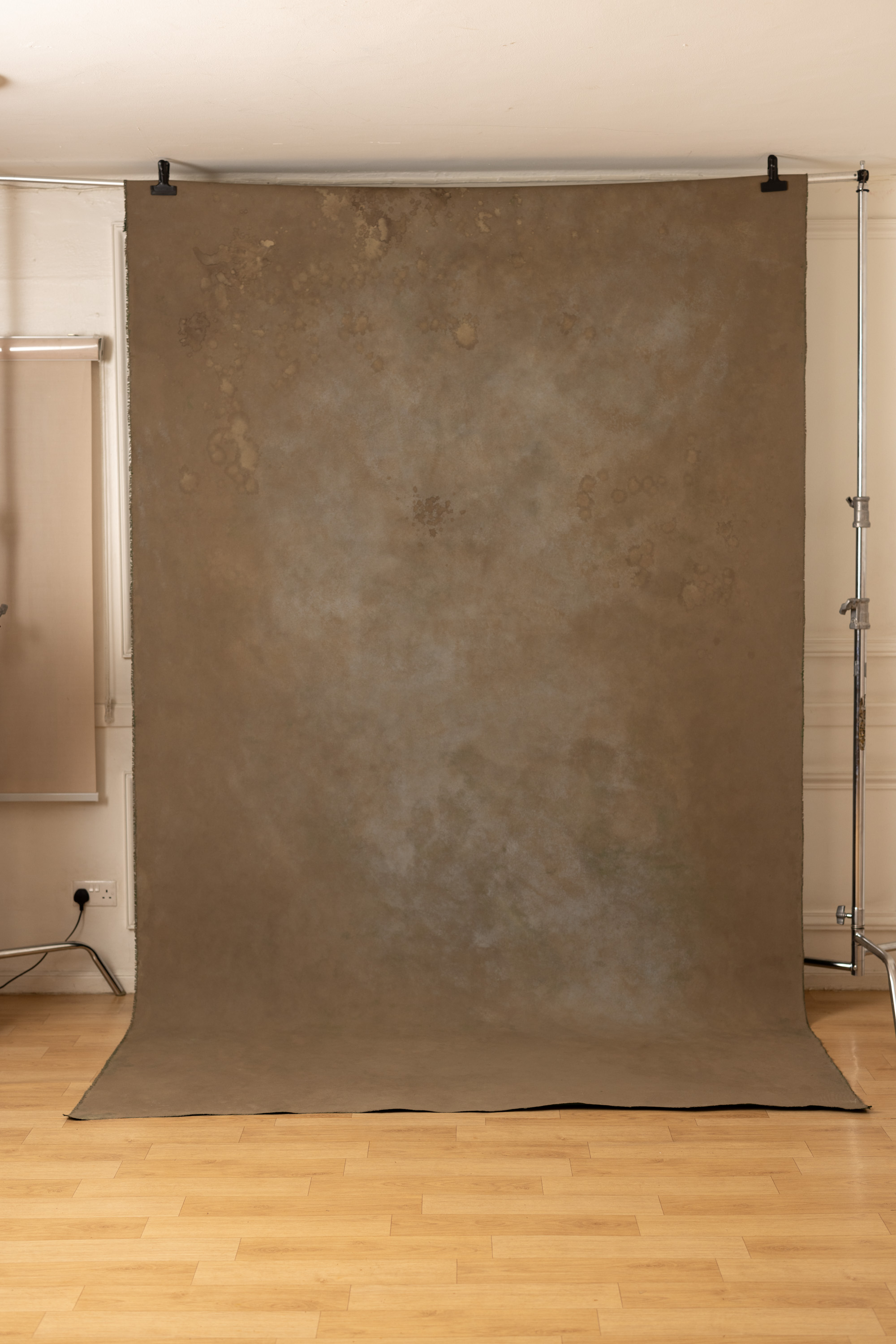 Seaweed Shoreline Painted Canvas Backdrop (RN#450) view 8