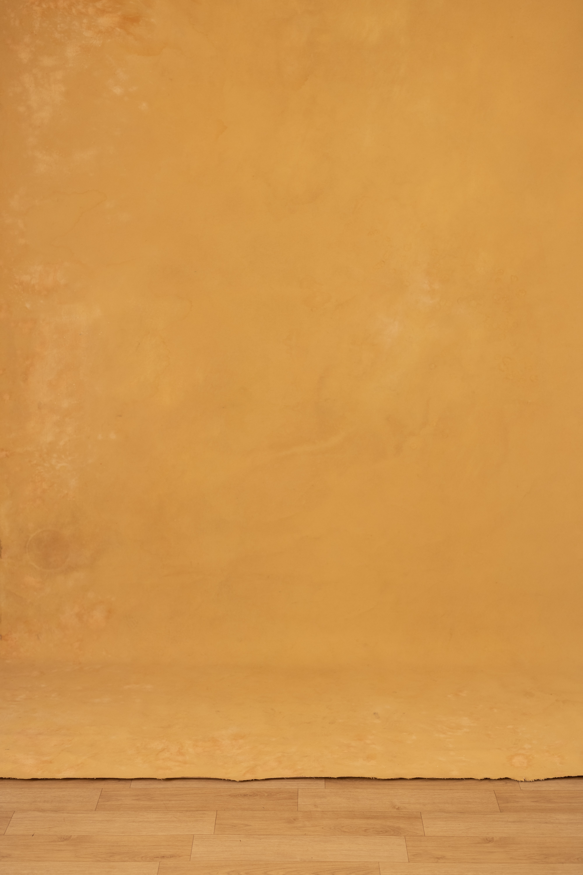 Camel Brown Painted Canvas Backdrop(RN#382) view 2