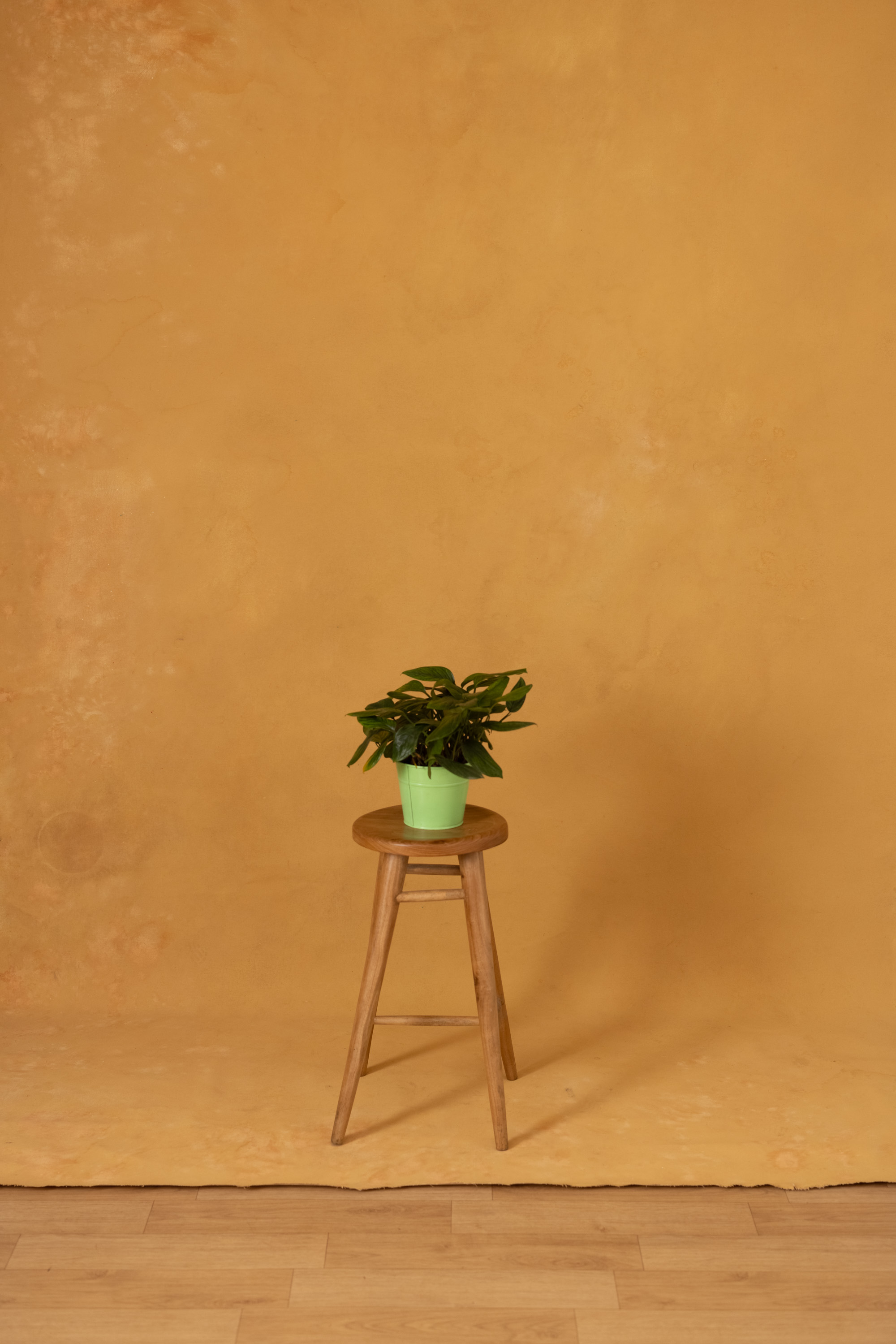Camel Brown Painted Canvas Backdrop(RN#382) view 3