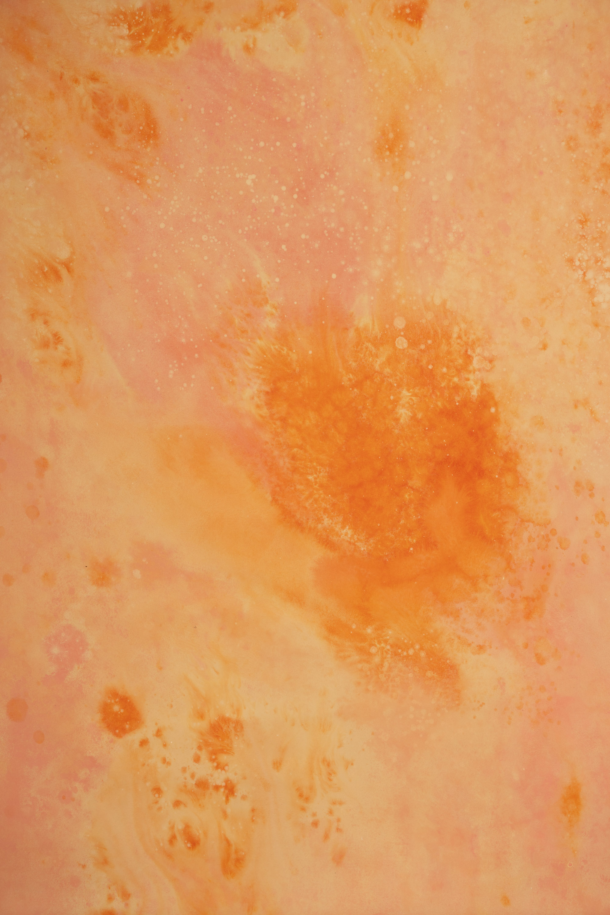 Flamed Citrus Painted Canvas Backdrop(RN#448) view 2
