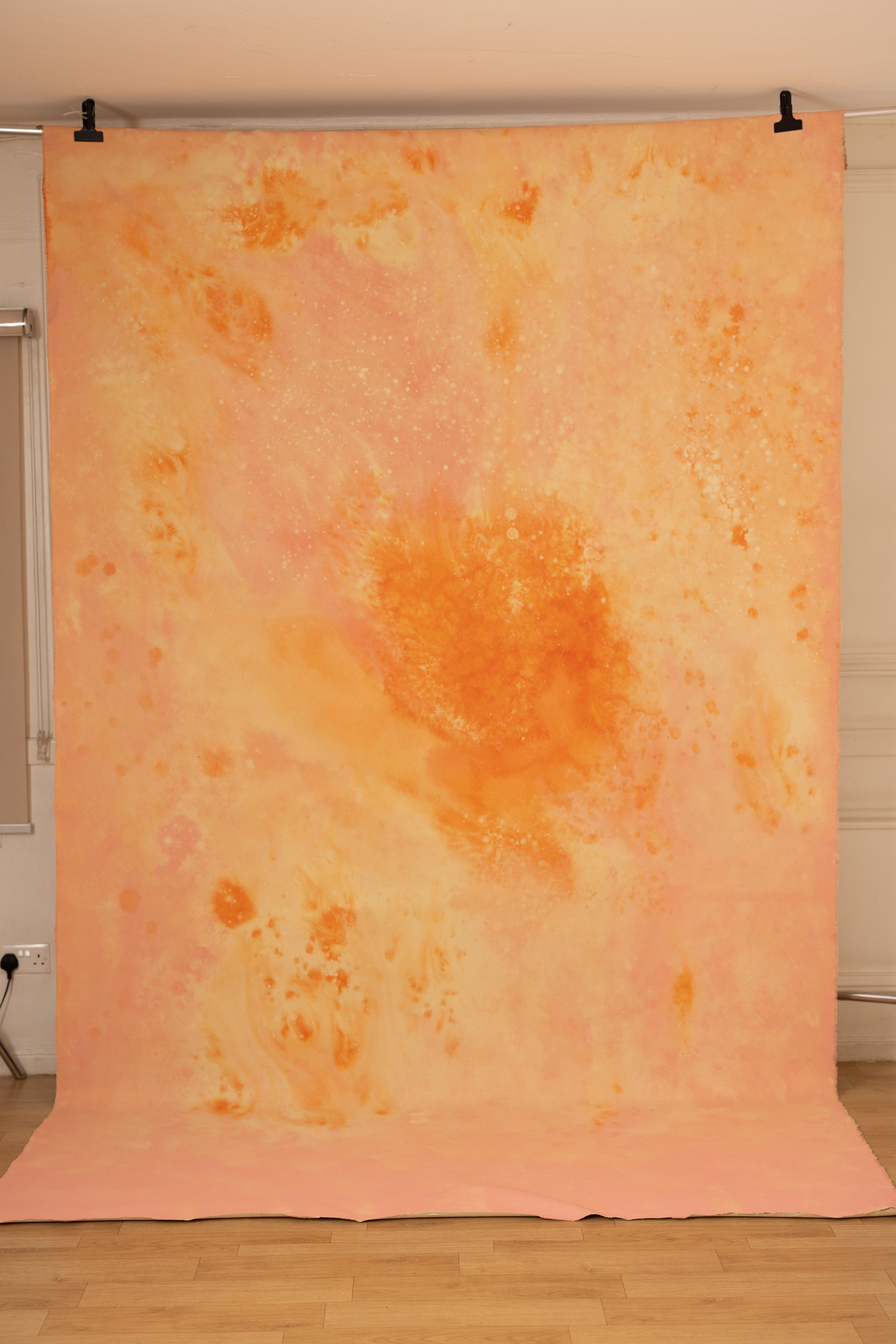 Flamed Citrus Painted Canvas Backdrop(RN#448) view 3