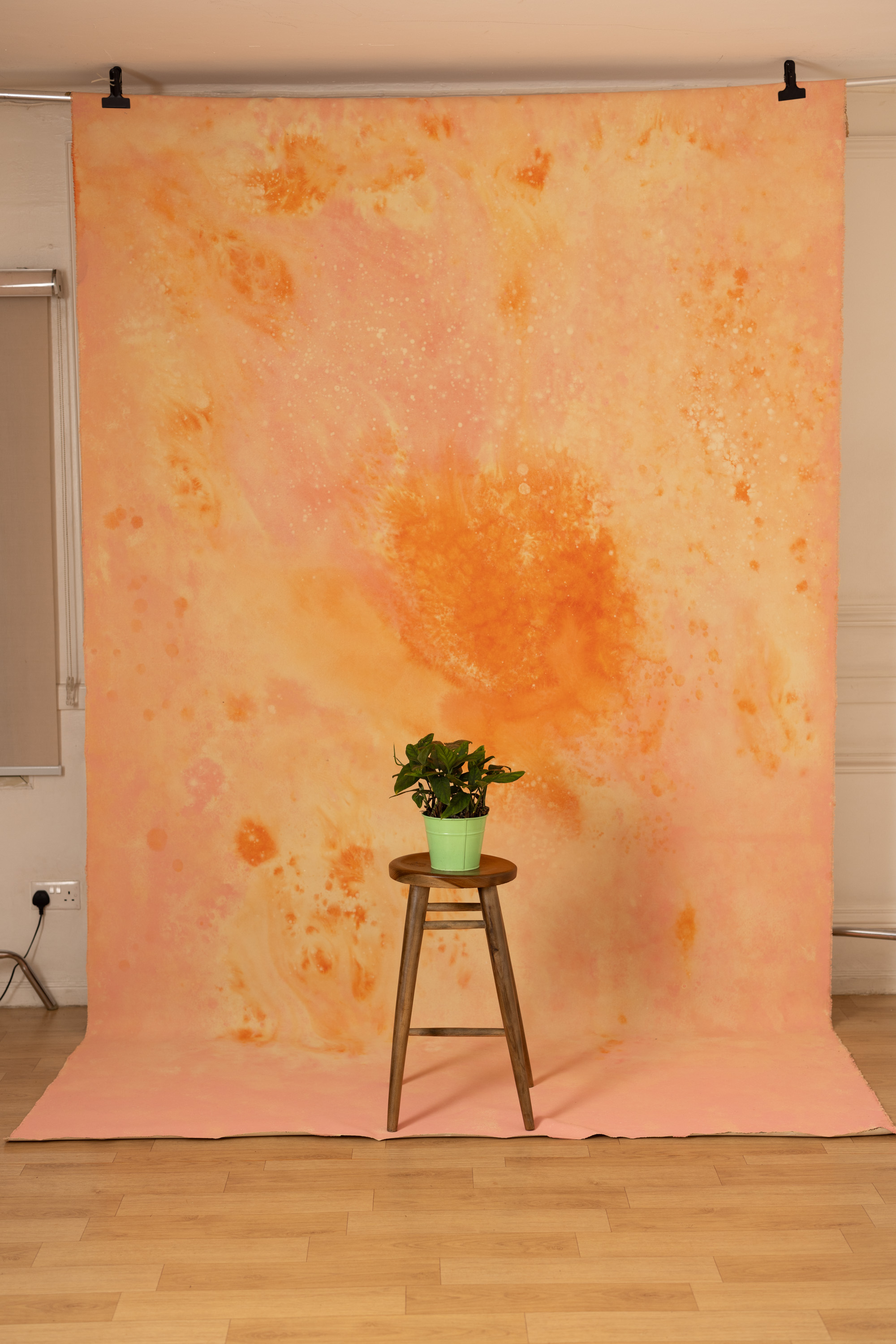 Flamed Citrus Painted Canvas Backdrop(RN#448) view 4