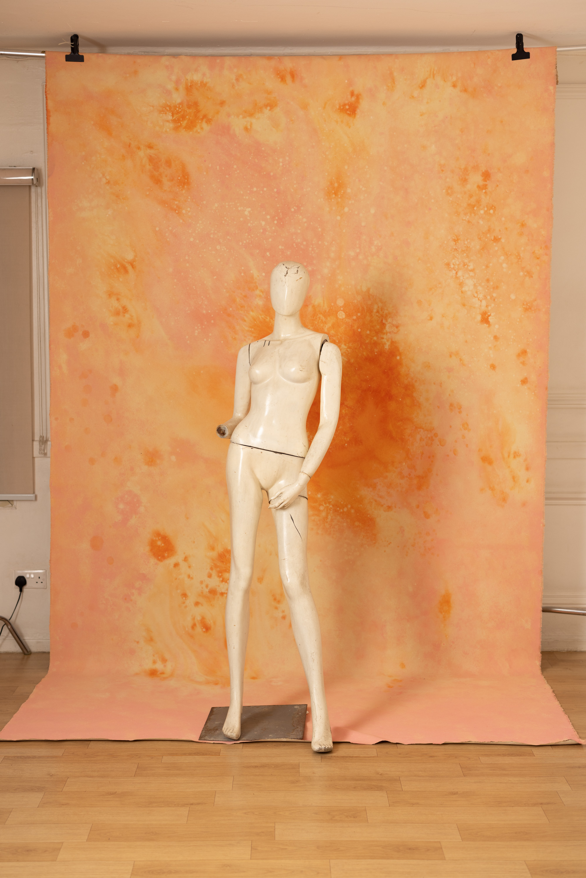 Flamed Citrus Painted Canvas Backdrop(RN#448) view 5