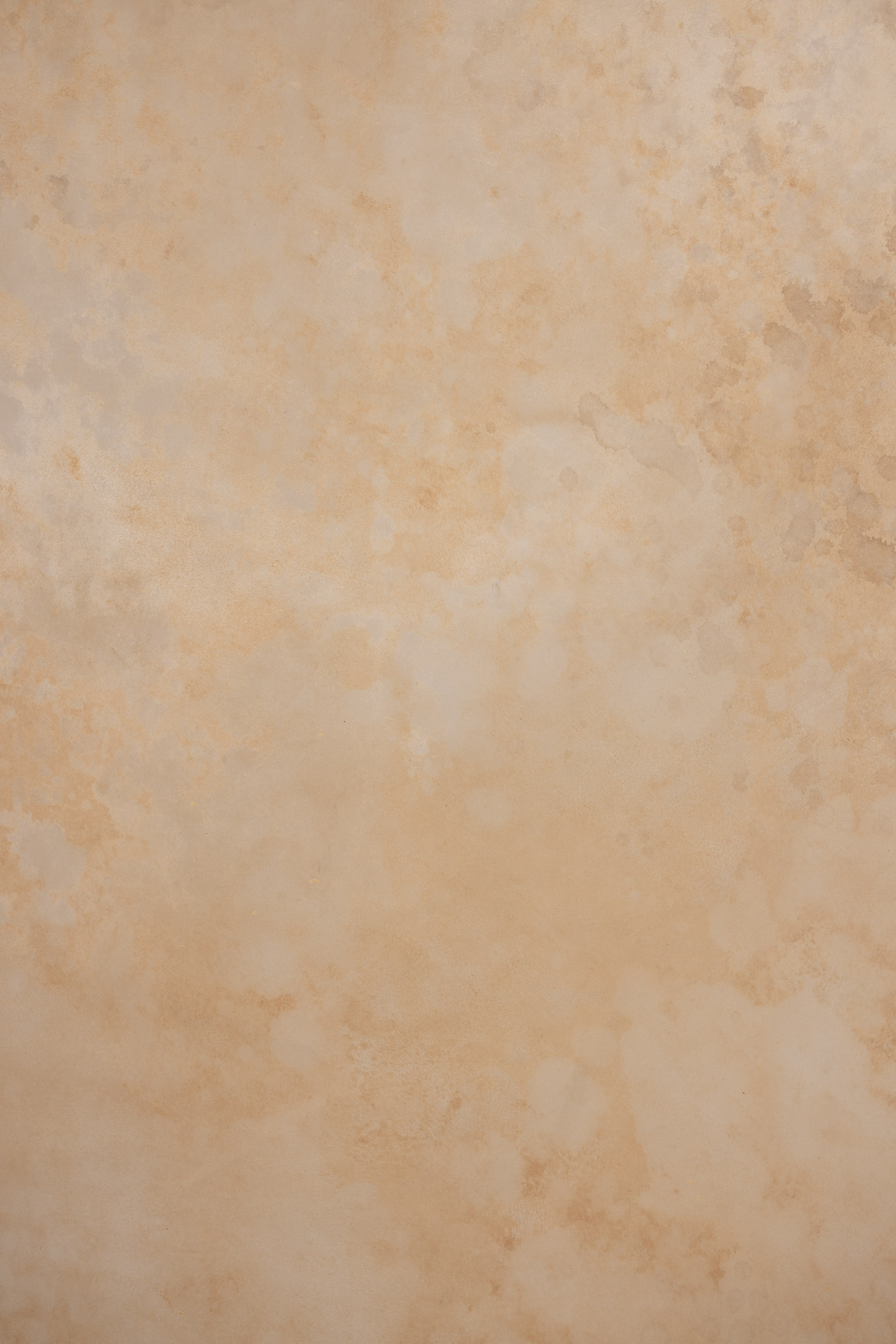 Sorrell Brown Painted Canvas Backdrop(RN#447) view 2