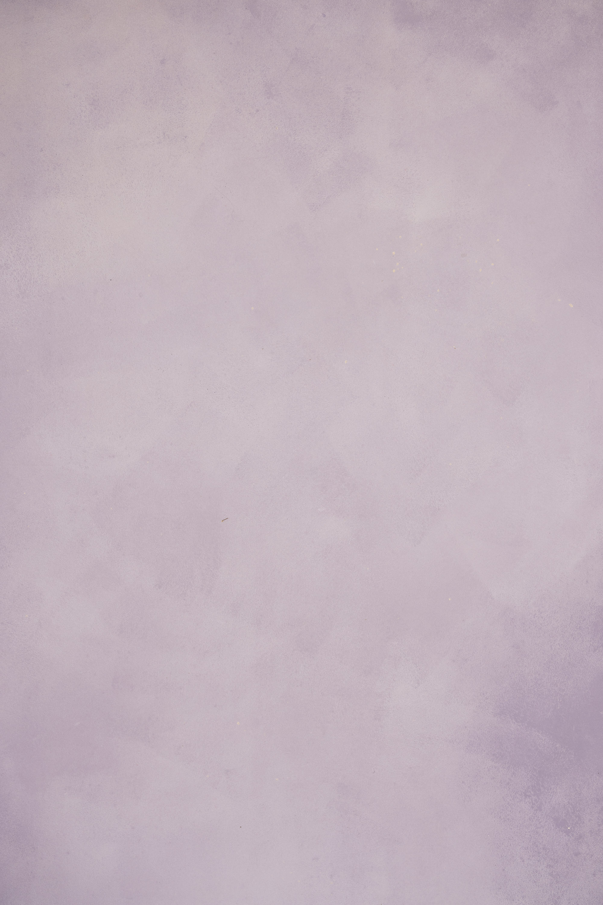 Lavender Blush Painted Canvas Backdrop(#446) view 6