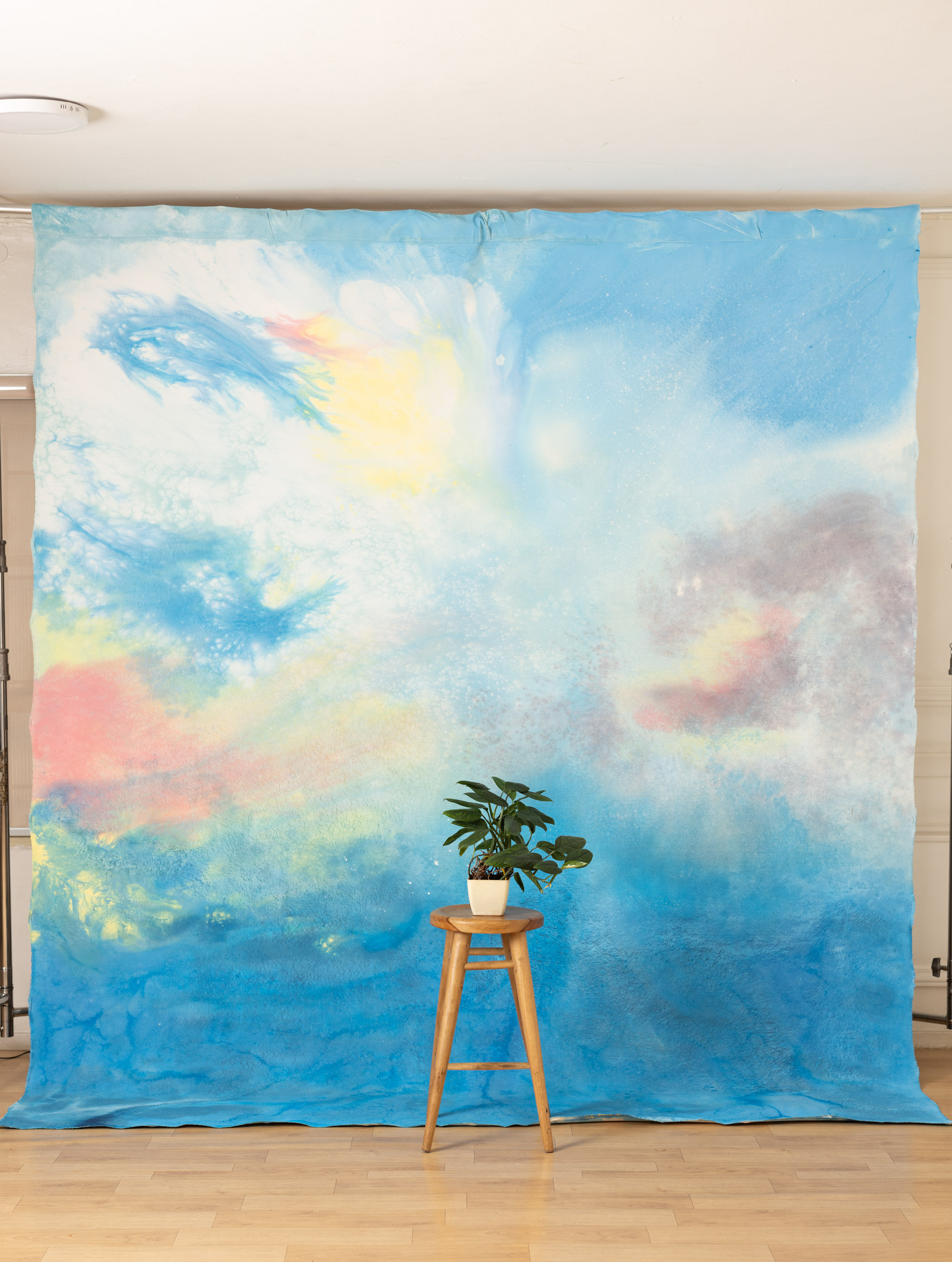Pale Blue Lily Painted Canvas Backdrop(RN#443)