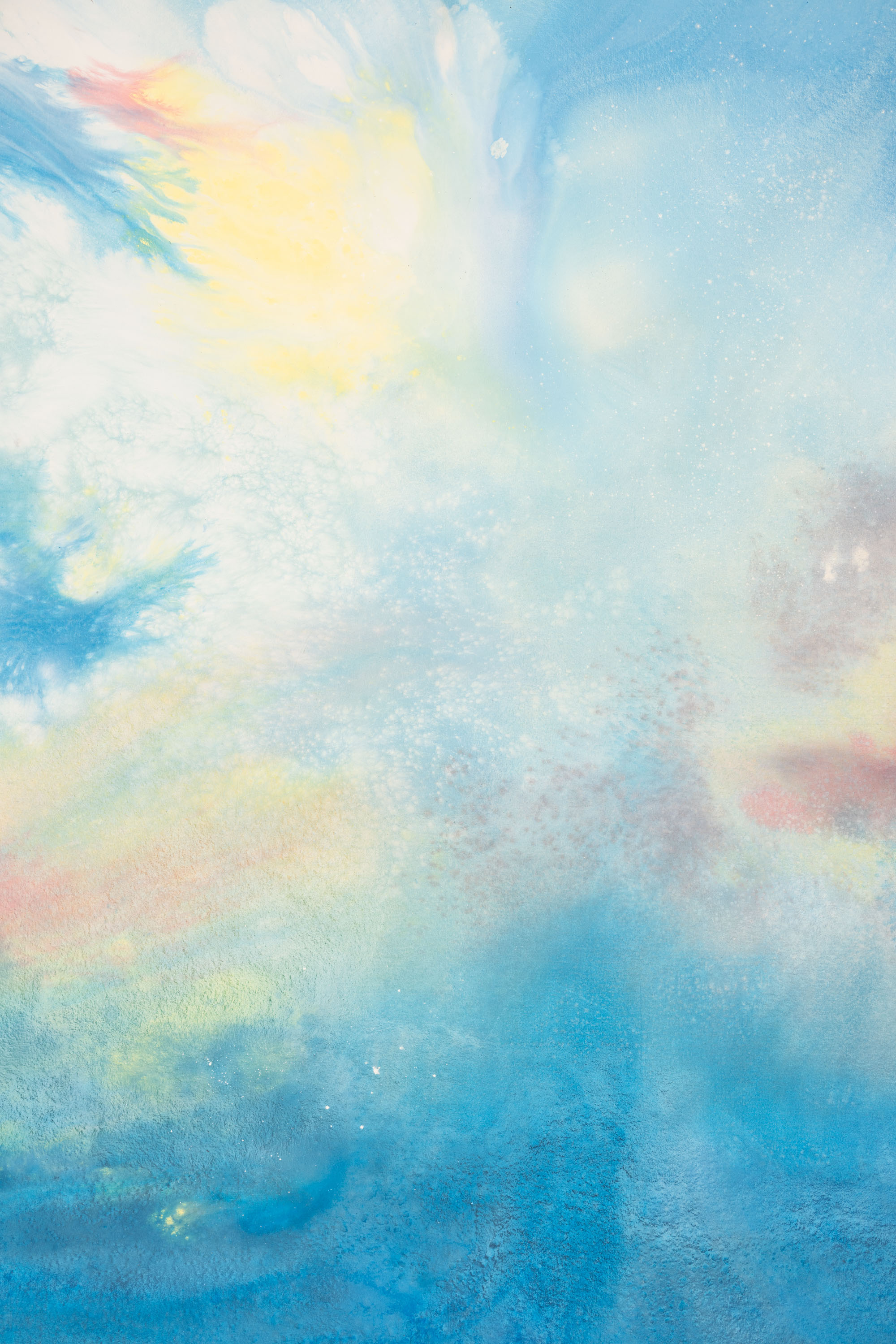 Pale Blue Lily Painted Canvas Backdrop(RN#443) view 2