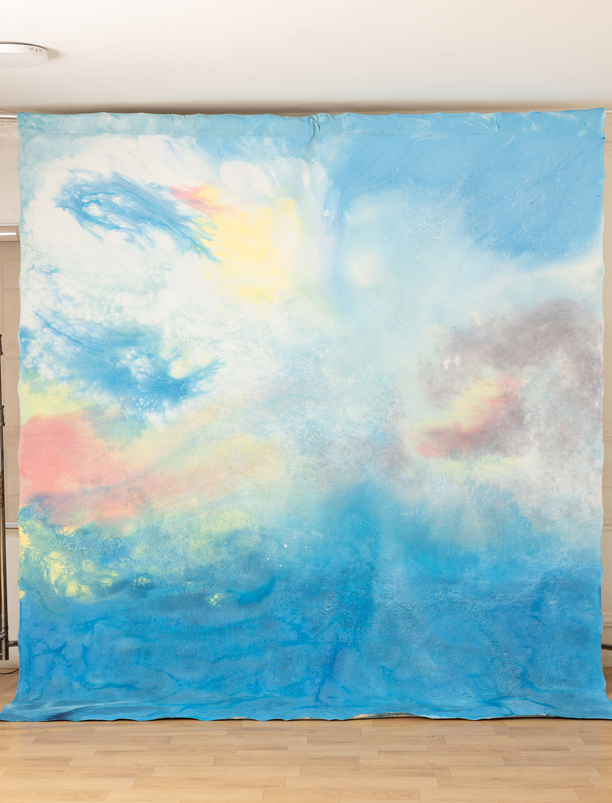 Pale Blue Lily Painted Canvas Backdrop(RN#443) view 3