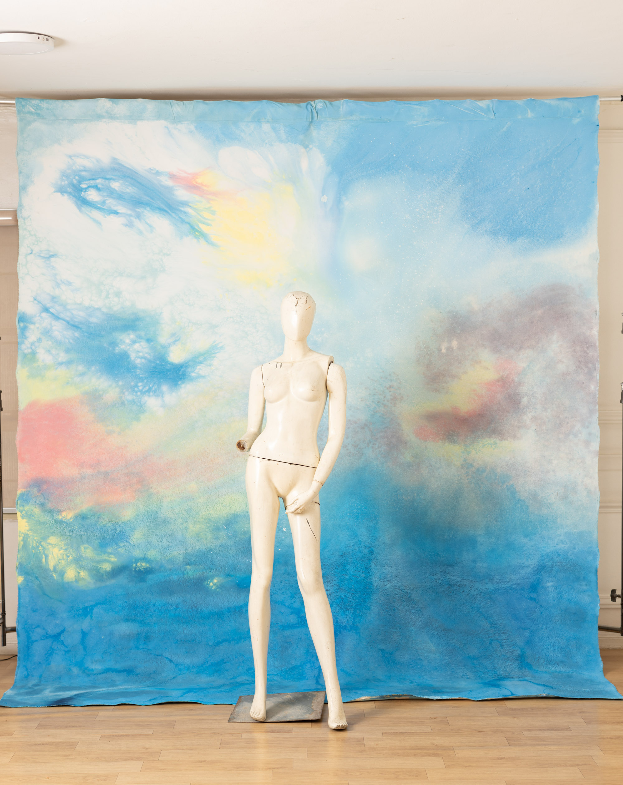Pale Blue Lily Painted Canvas Backdrop(RN#443) view 5